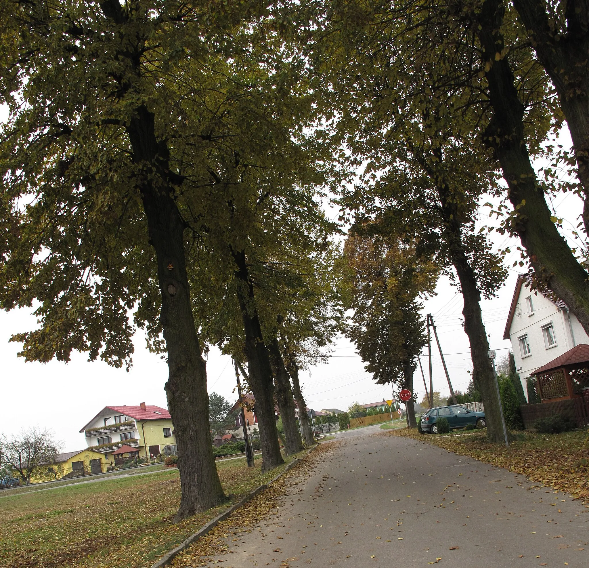 Photo showing: Nogowczyce. Strzelce County, Poland