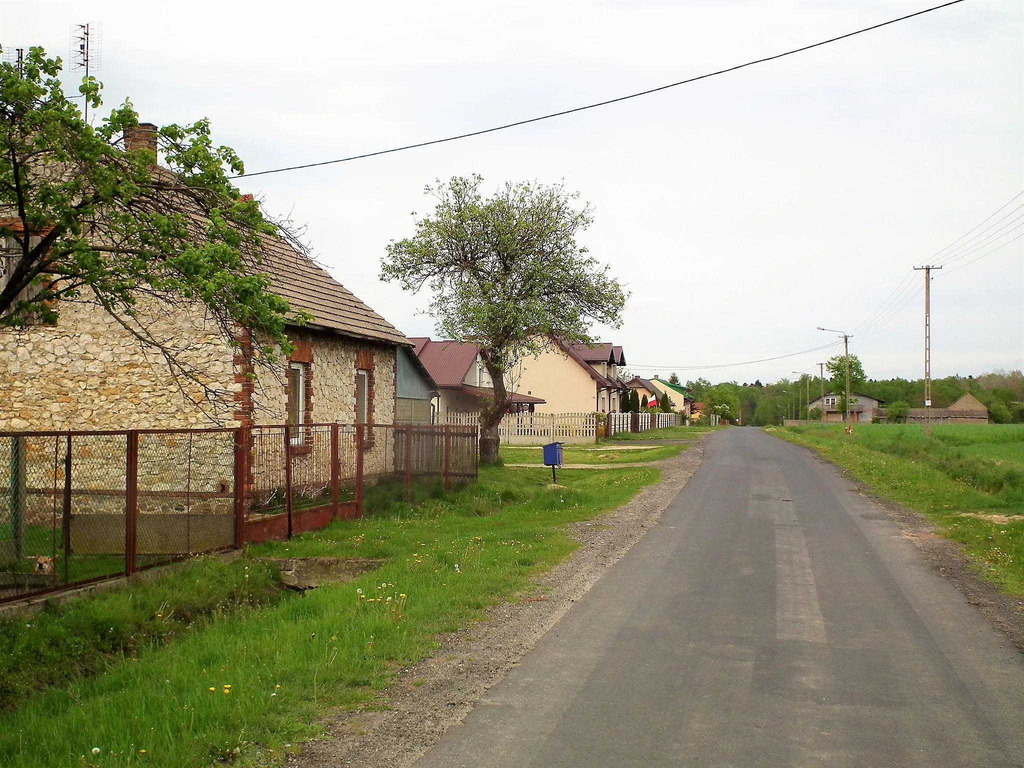 Photo showing: Polesie w gminie Rudniki w woj. opolskim.
