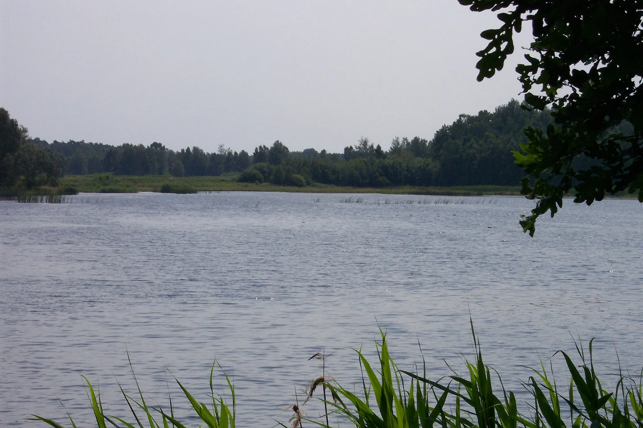 Photo showing: Jeden z kilku stawów hodowlanych w okolicach Gwoździan