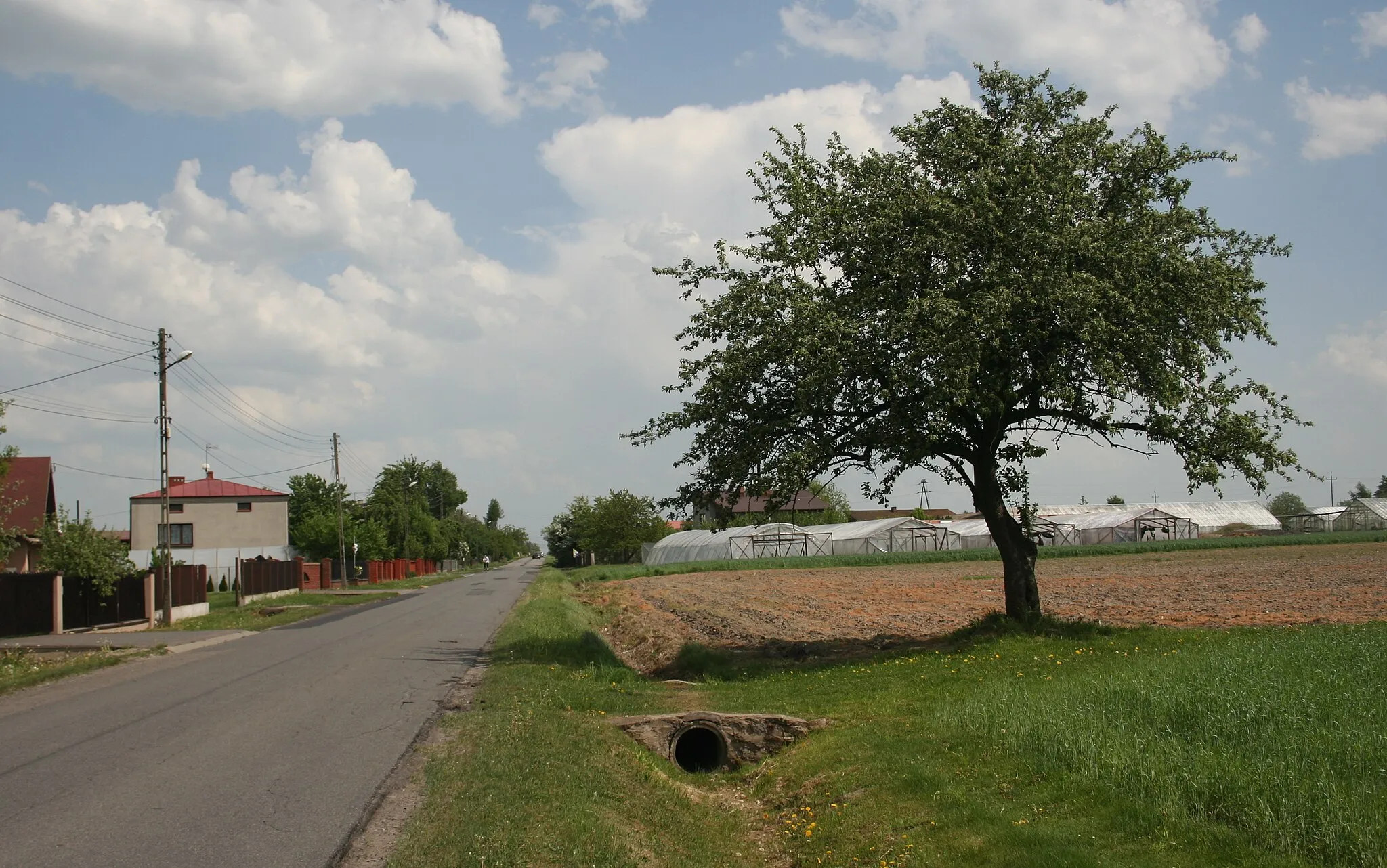 Photo showing: Miejscowość Kokawa w gminie Mykanów