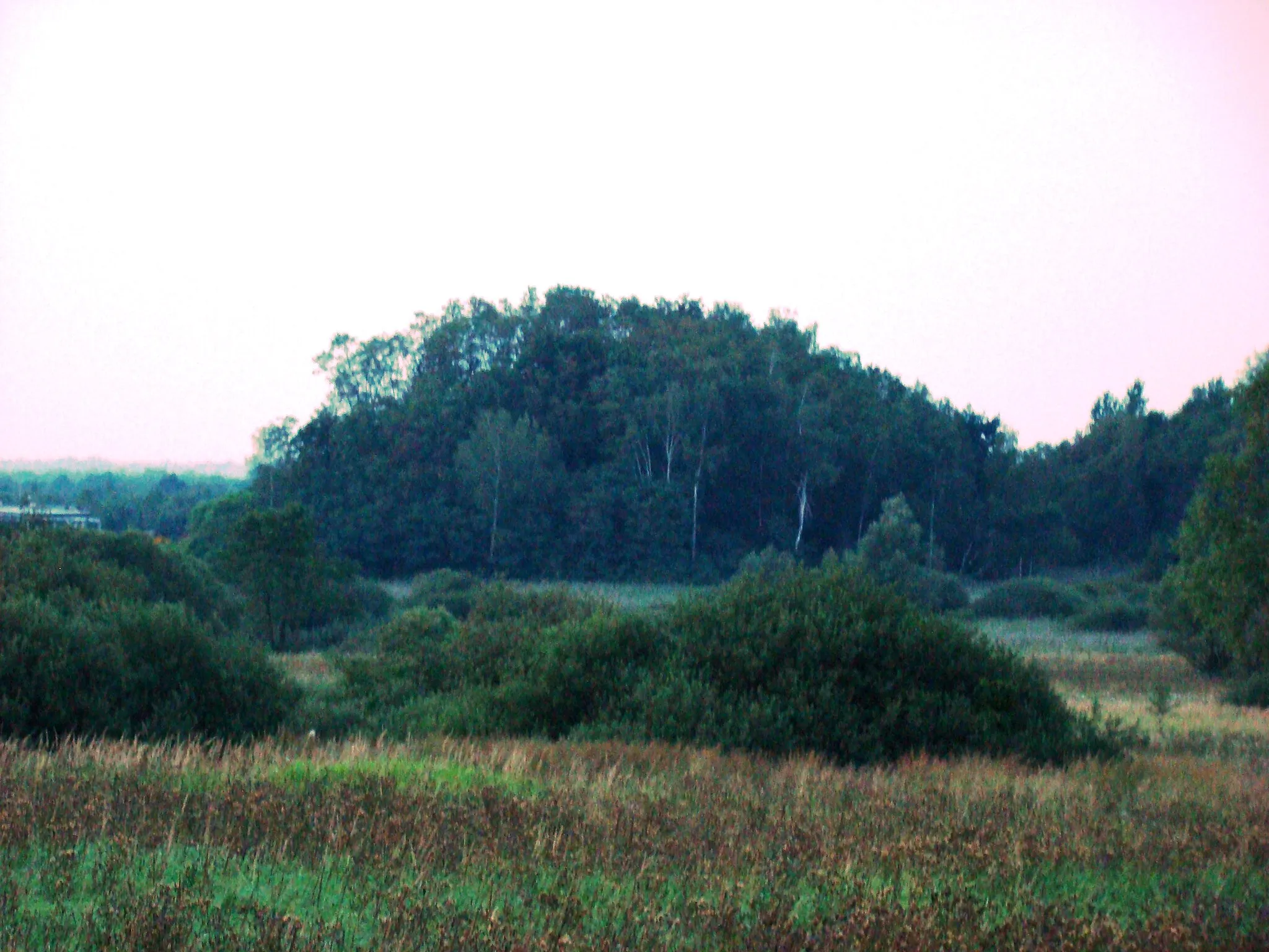 Photo showing: Hałda kopalni rud żelaza "Włodzimierz" w Hucie Starej A w okolicach Psiej Górki