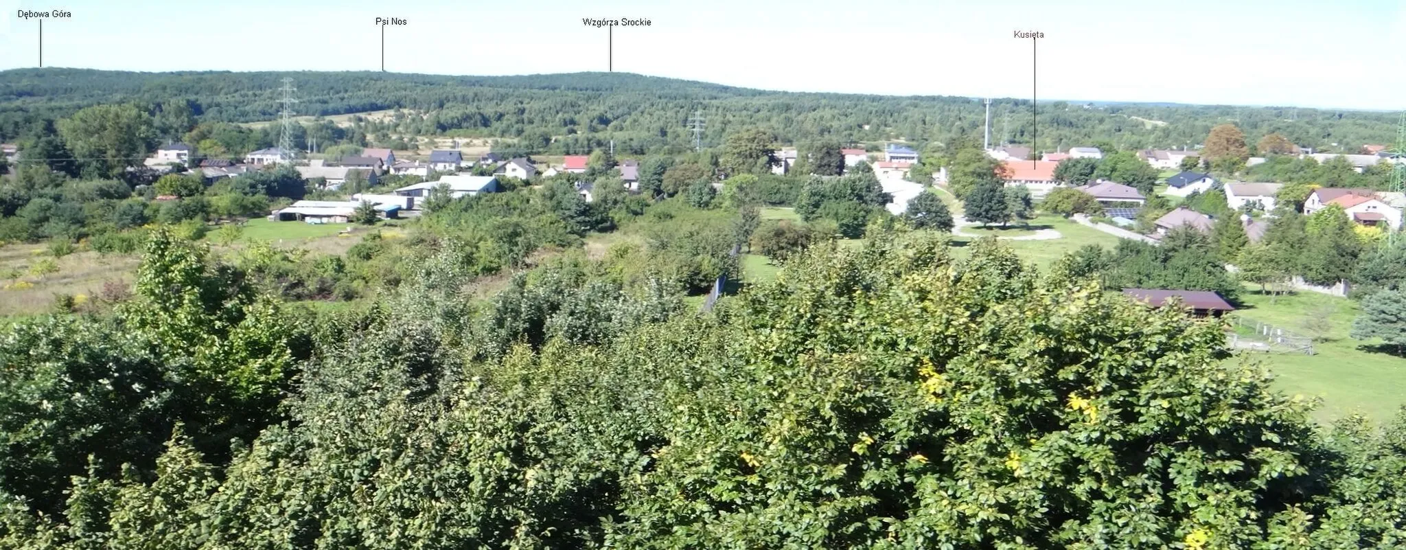Photo showing: Widok z pól na Rachowcu we wsi Kusięta koło Częstochowy