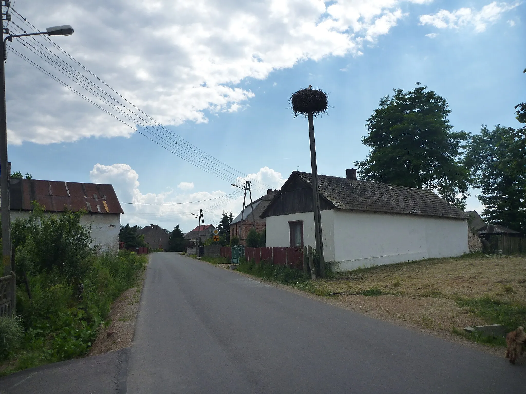 Photo showing: (N004A) Gniazdo bocianie we wsi Kuchary [czerwiec 2014]