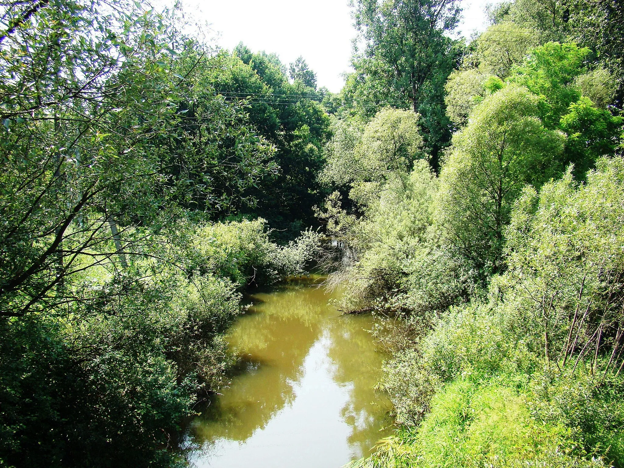 Photo showing: Rzeka Warta w Kolonii Borek