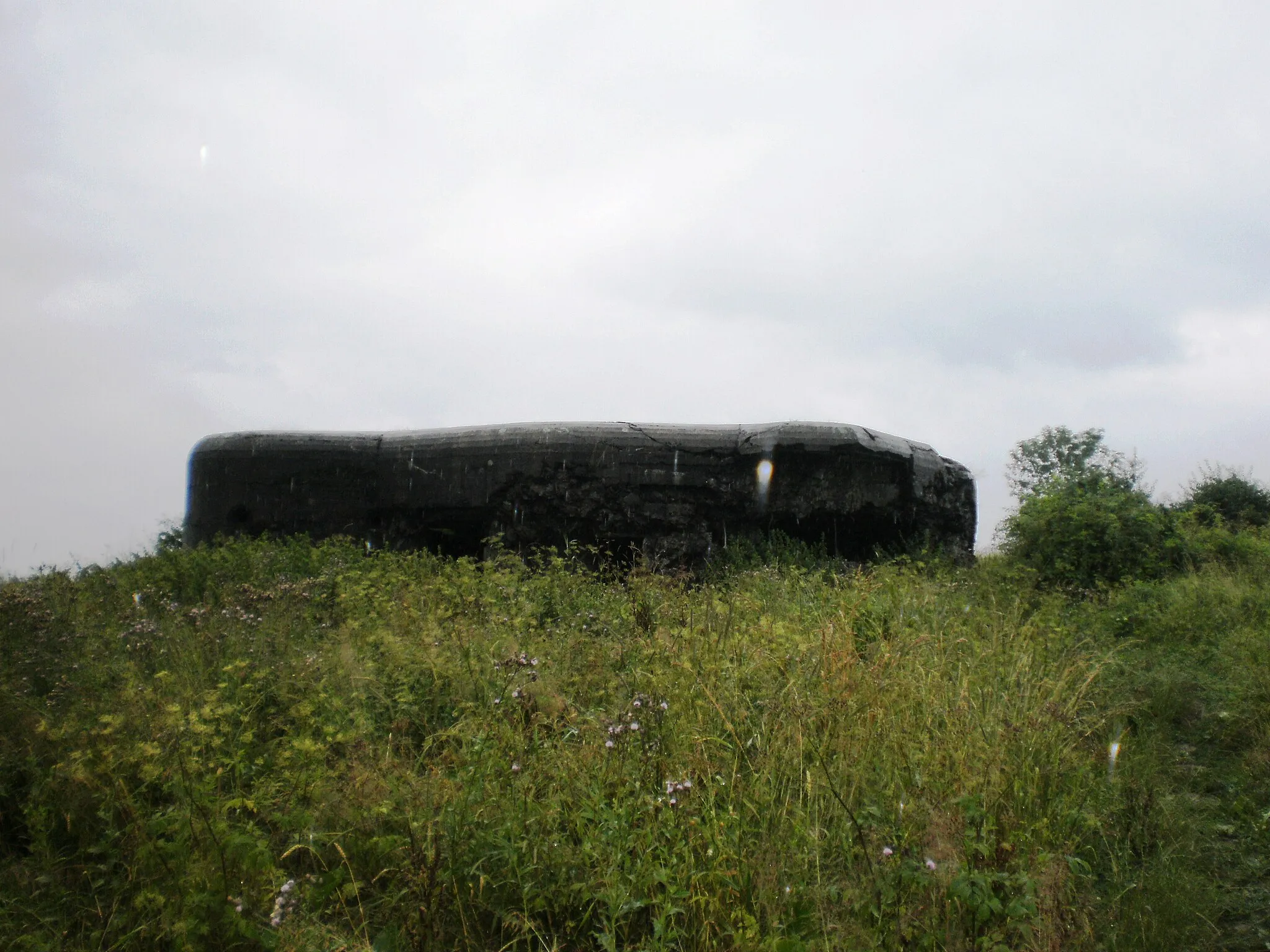 Photo showing: Fort Wyrwidab