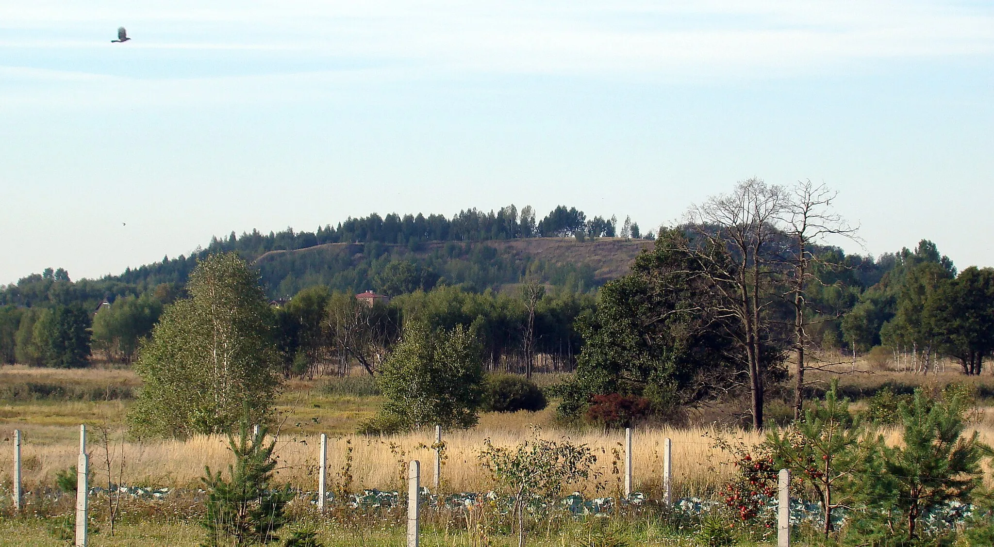 Photo showing: Hałda dawnej kopalni rud żelaza "Barbara" w Dźbowie, widok od strony Kuźnicy, Częstochowa, 291 m n.p.m.