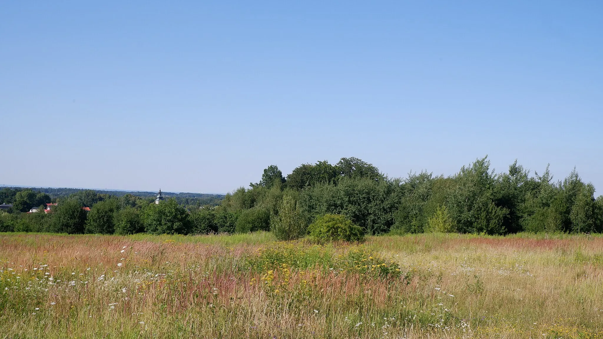 Photo showing: View of the remains of the Księży Las forest in Hałcnów, a district of Bielsko-Biała
