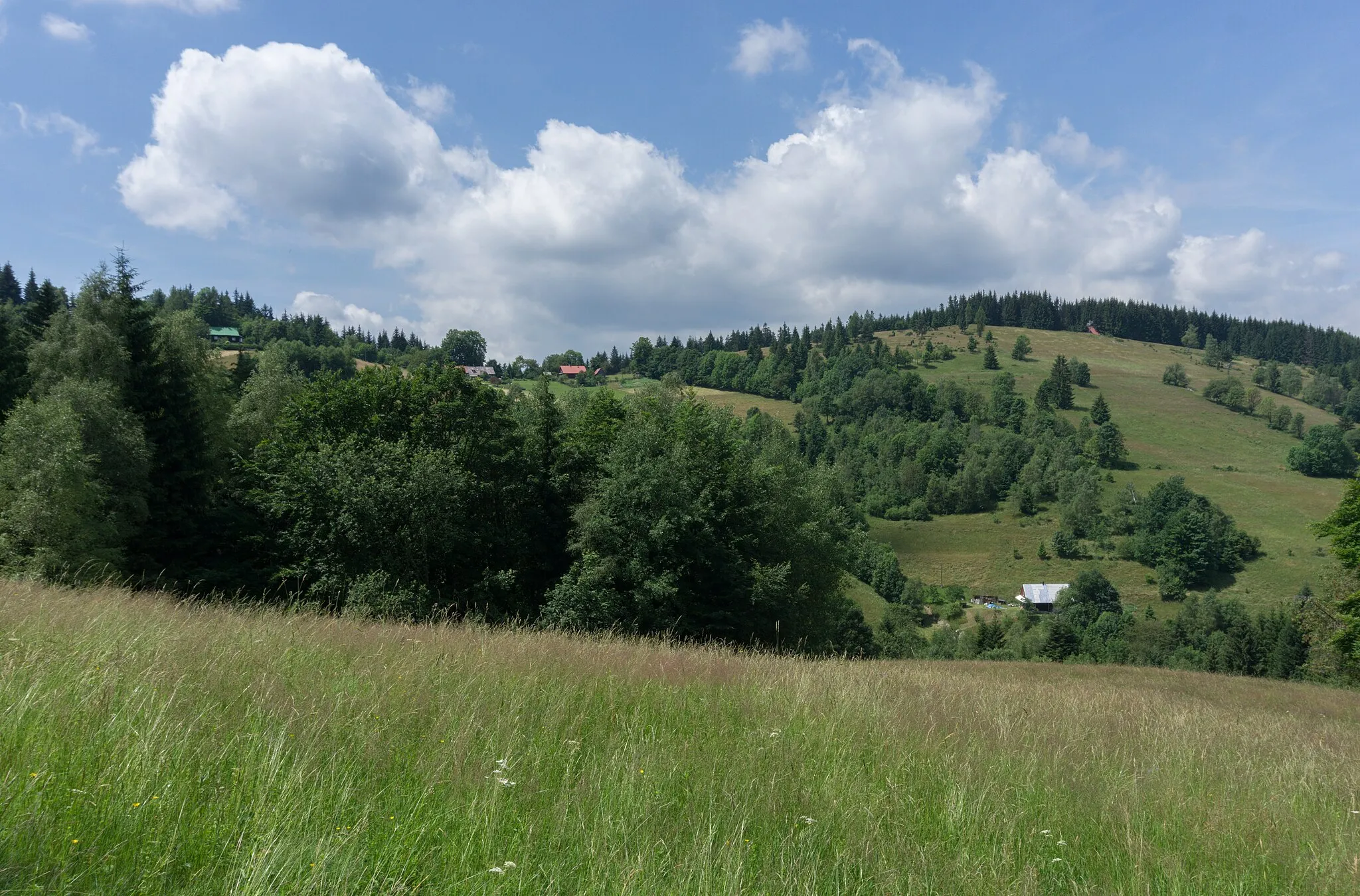 Photo showing: Přelač. Beskids, Czechia