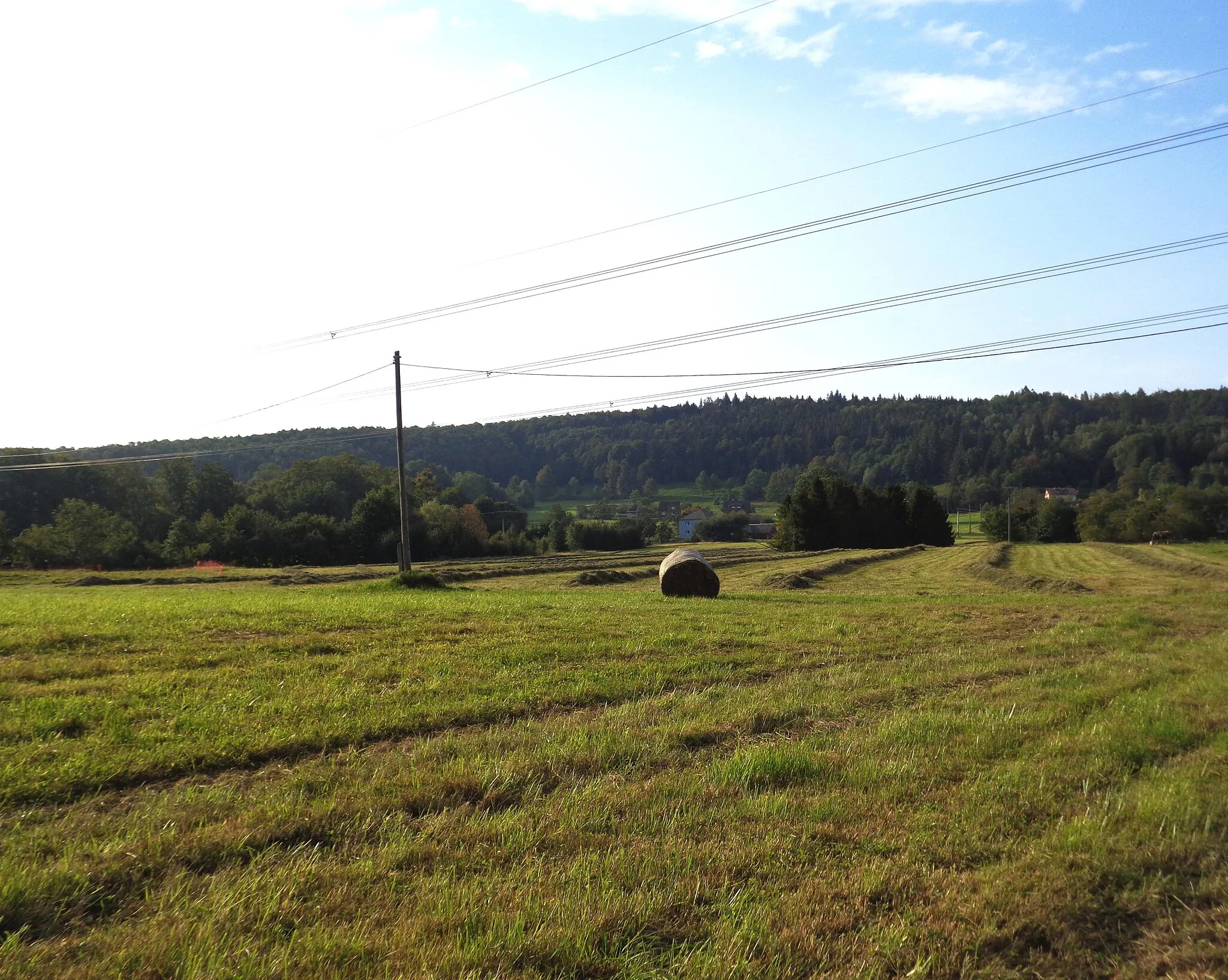 Photo showing: Plenisko, mountain in Moravian-Silesian Beskids