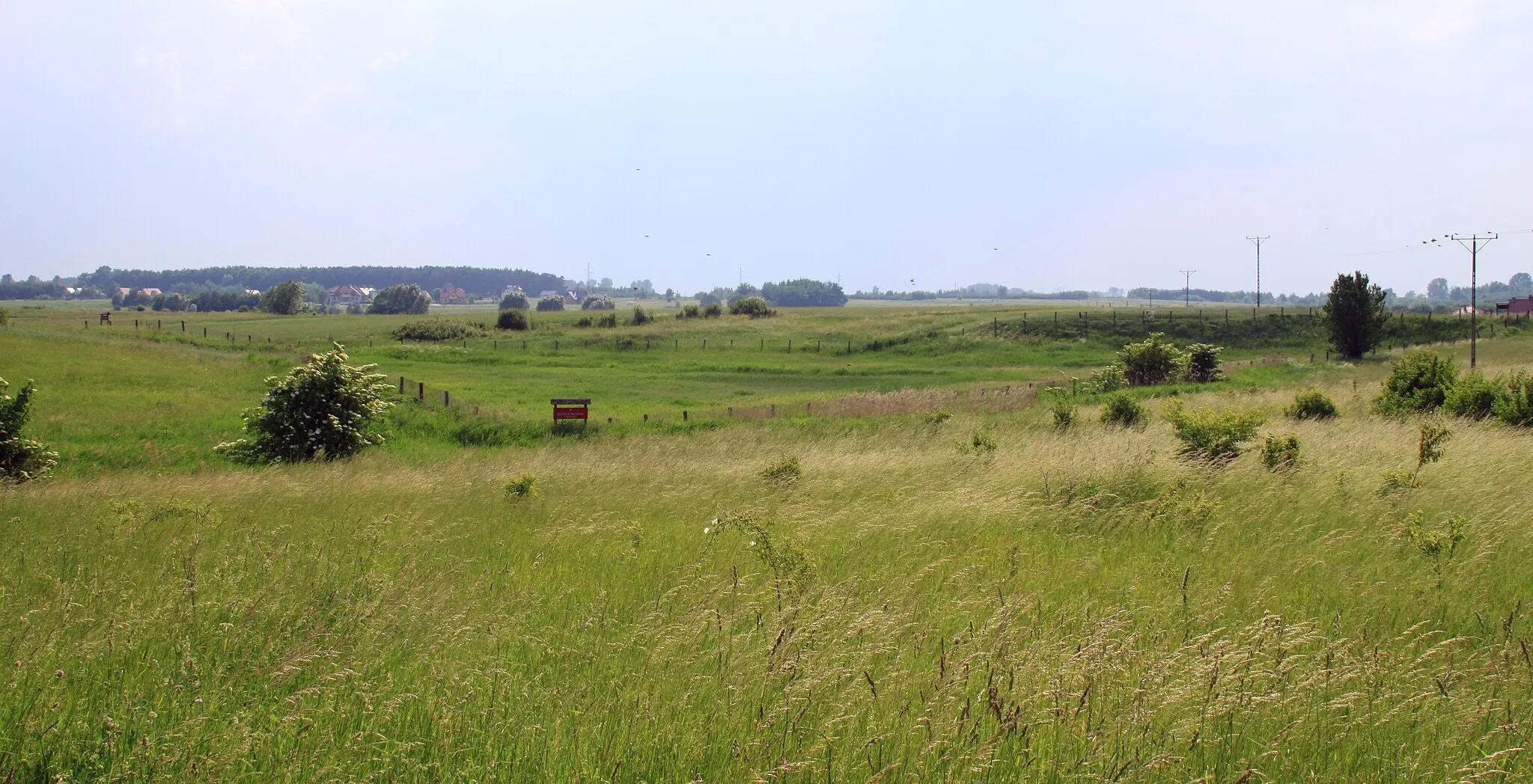 Photo showing: Owczary, Świętokrzyskie Voivodeship - Nature reserve Owczary.