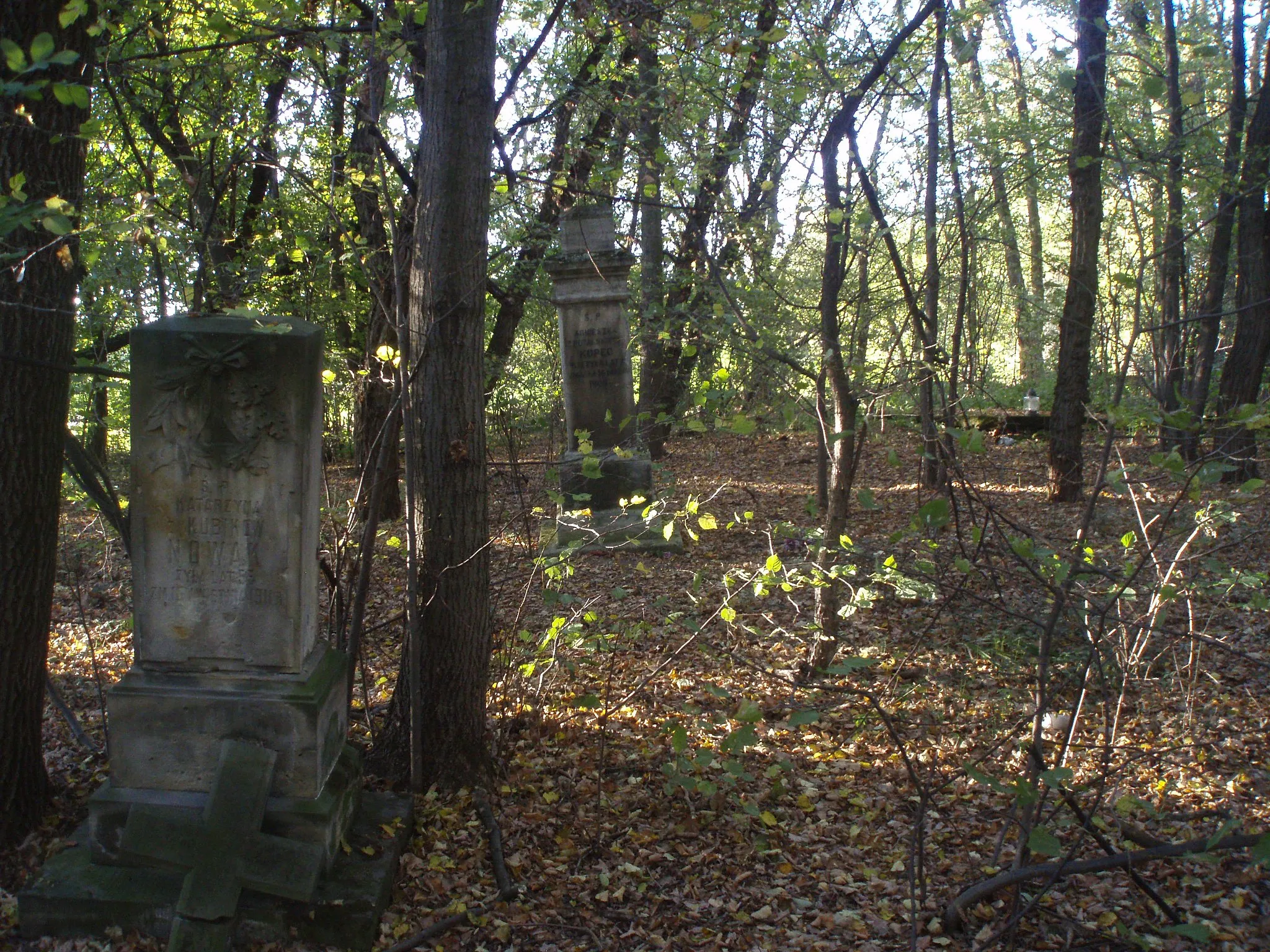 Photo showing: Cmentarz par. „stary” (nieczynny)
Wiązownica Mała, Staszów