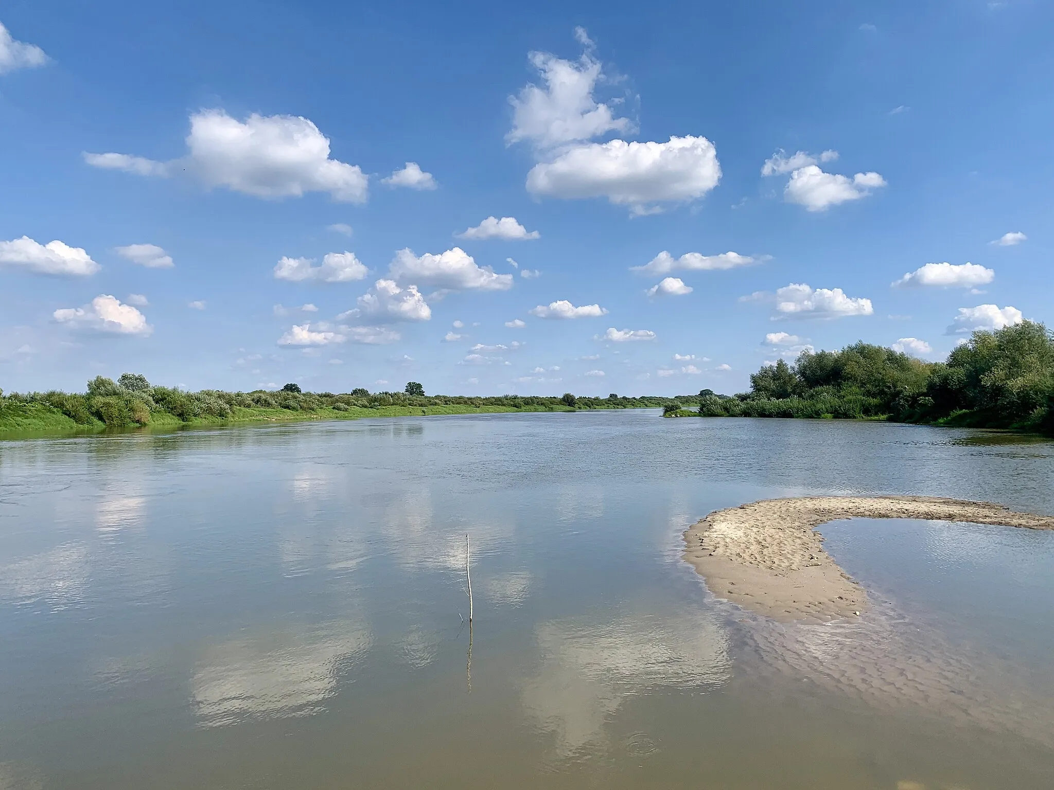 Photo showing: Vistula between Borusowa and Nowy Korczyn, Poland, 2019