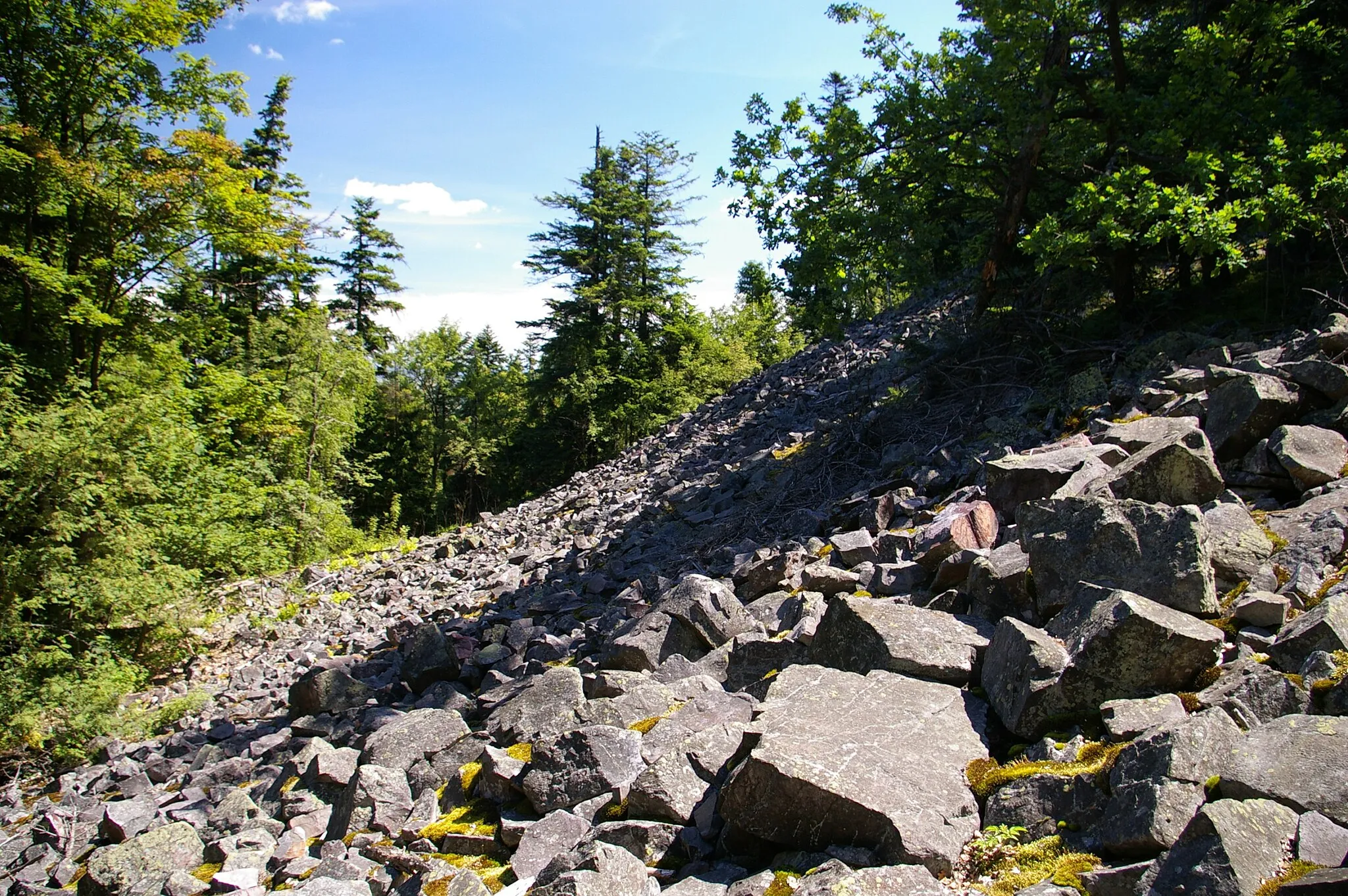 Photo showing: Stone run on the top of Łysica in Holy Cross Mountains, Poland