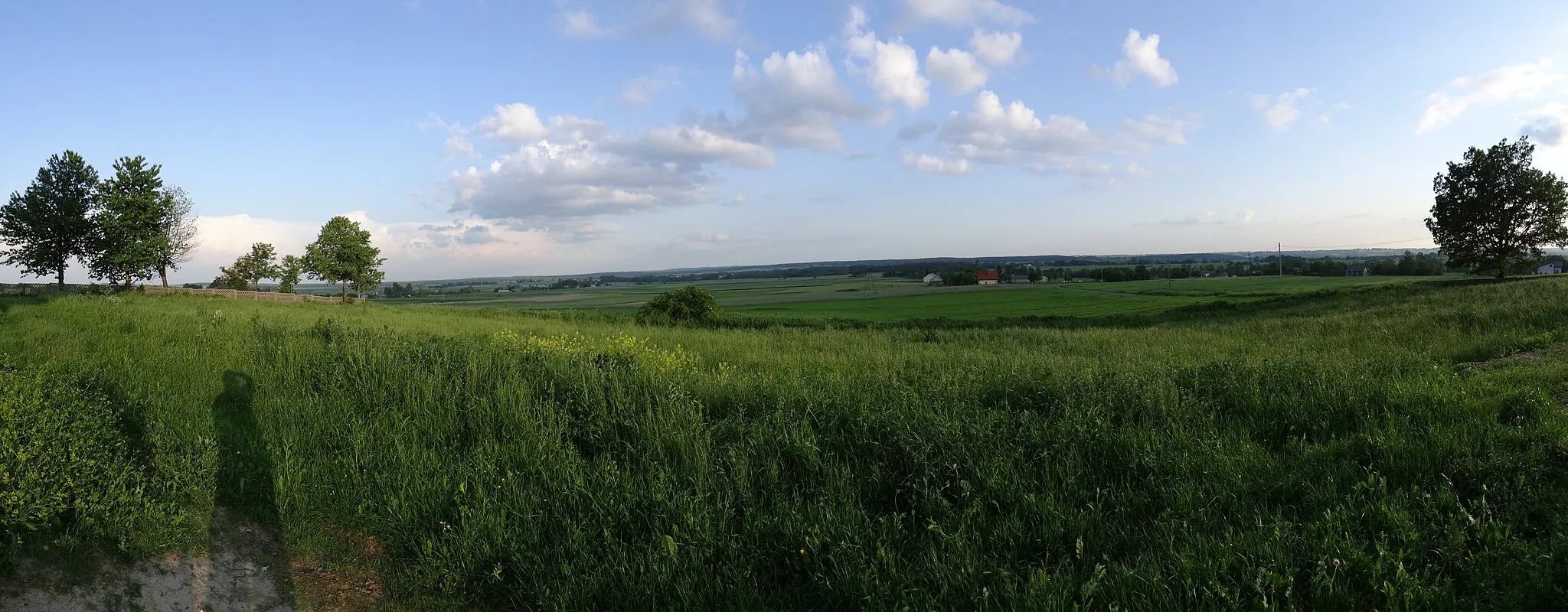 Photo showing: Zdjęcie wykonane z terenu cmentarza w miejscowości Piórków.