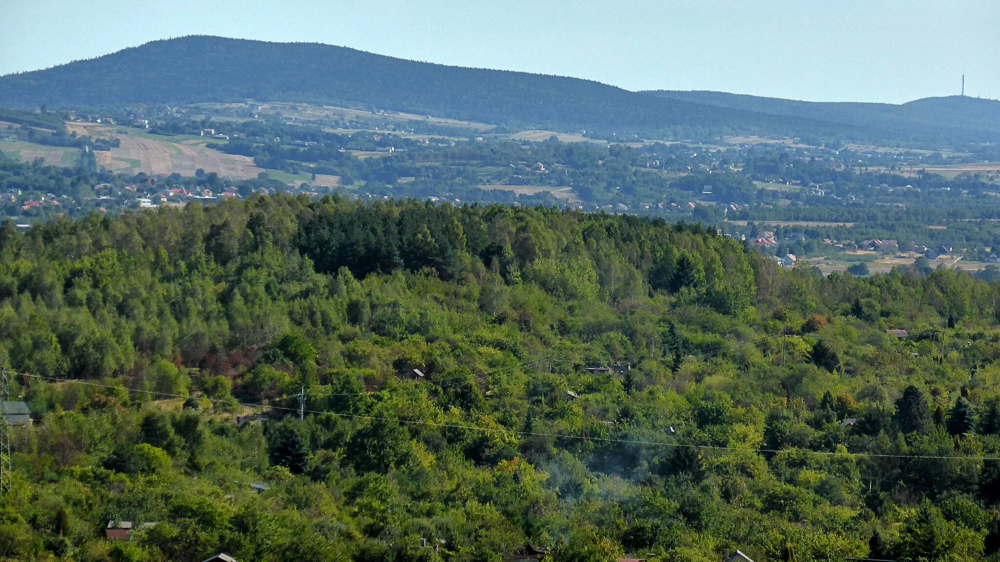Photo showing: Zalesiony wierzchołek Świniej Góry(346m.n.p.m) na tle Pasma Łysogórskiego Gór Świętokrzyskich