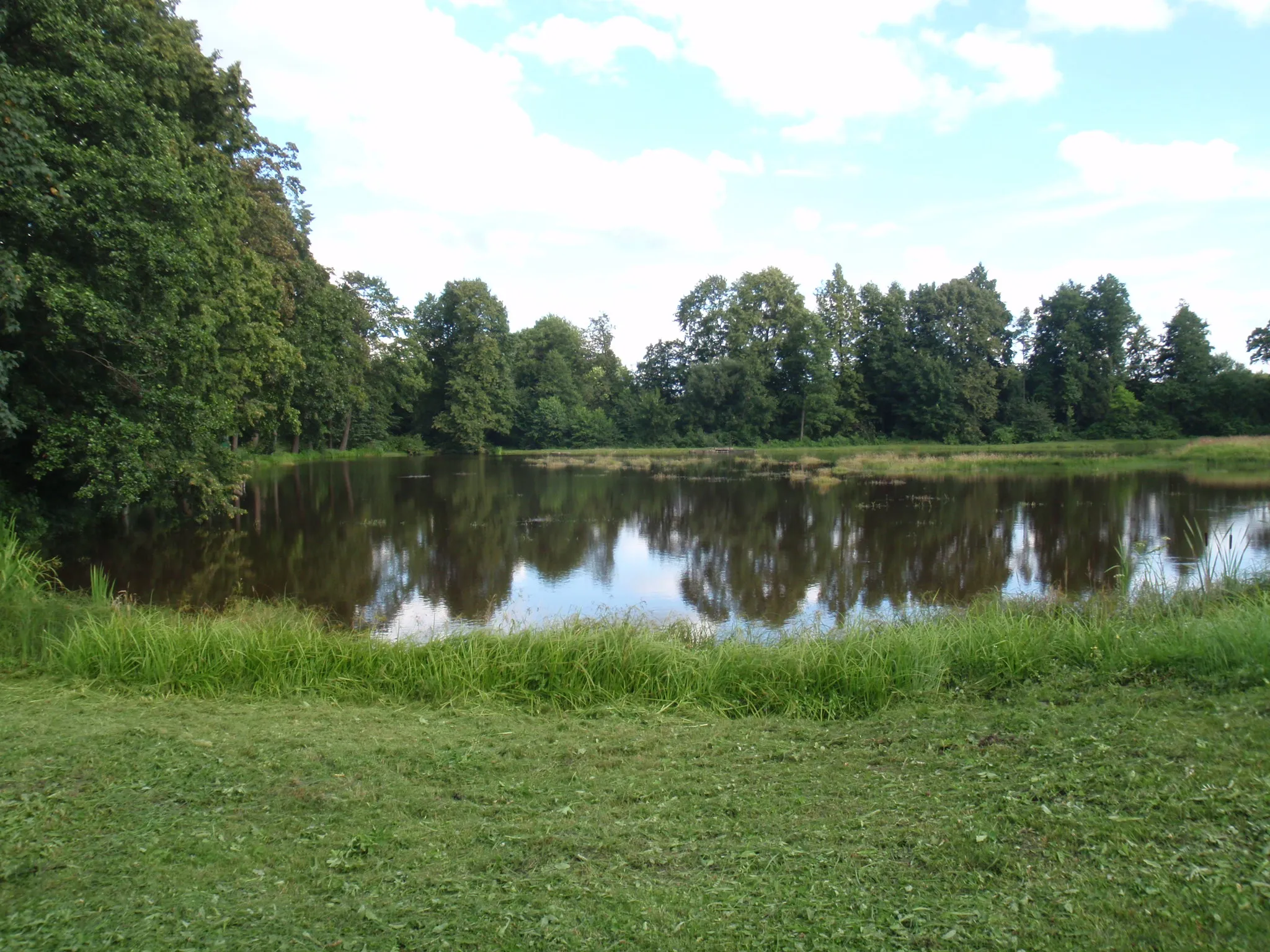 Photo showing: Pond in Nadolna