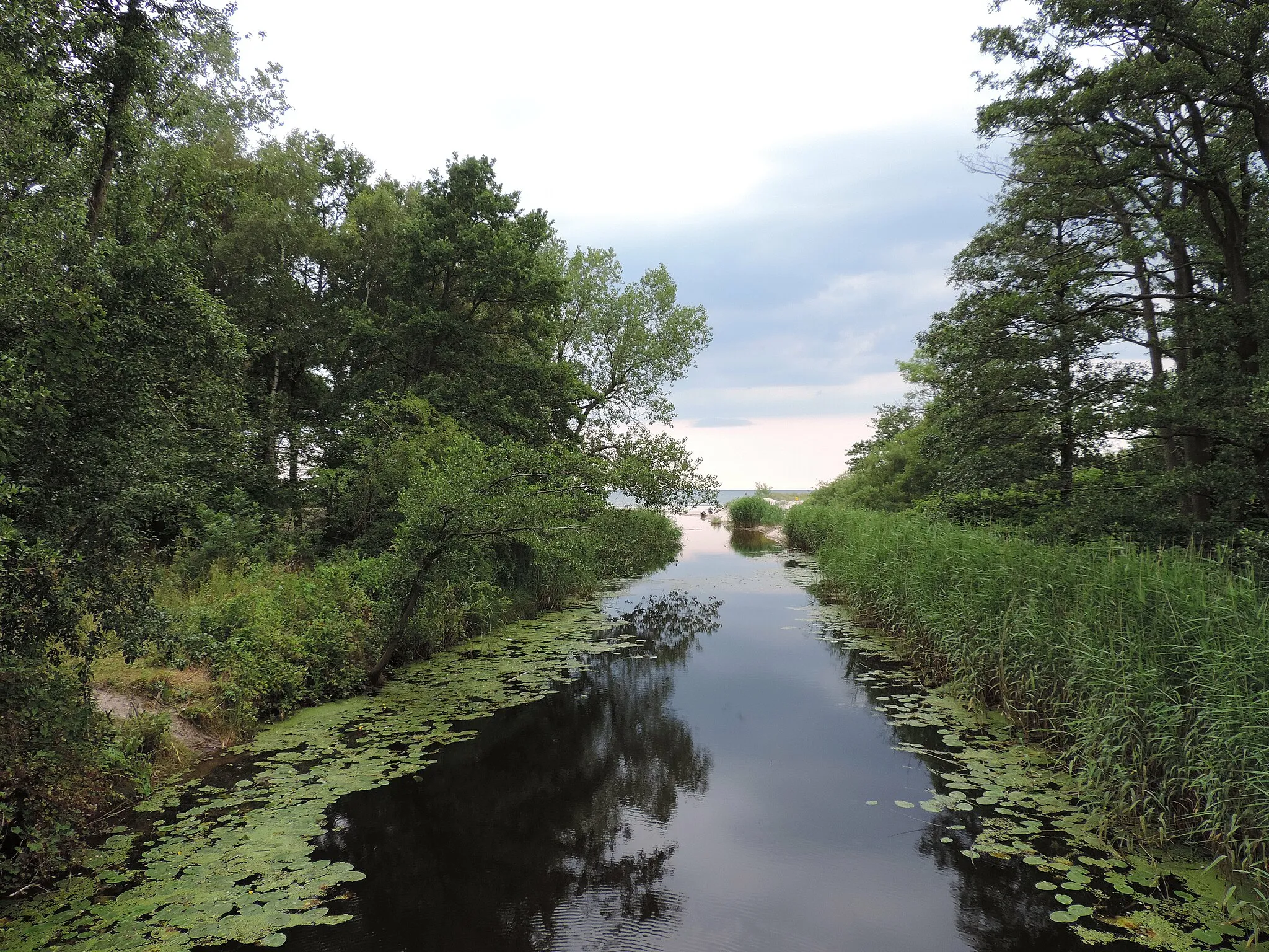 Photo showing: Mouth of Czerwona river, NW Poland