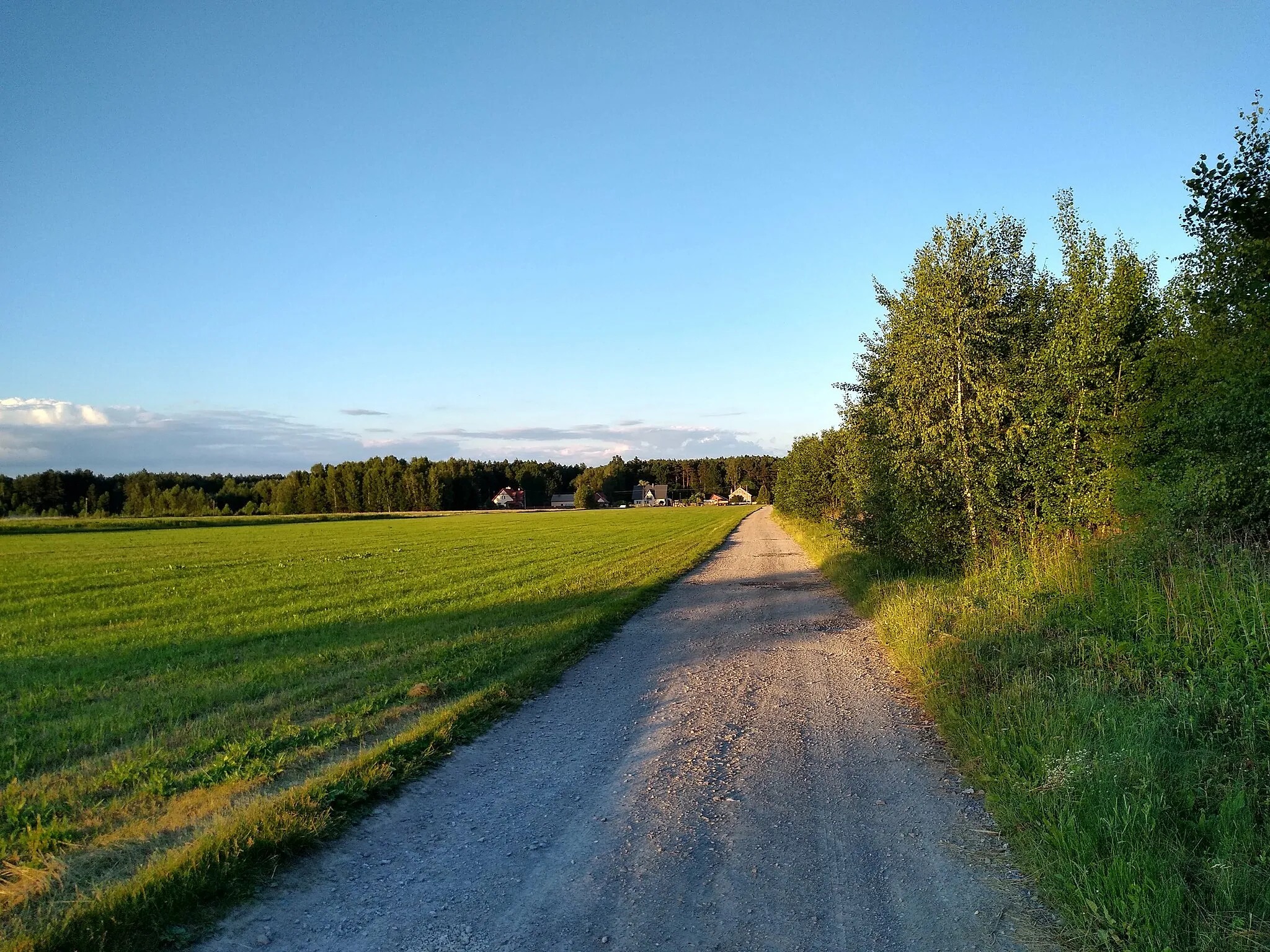 Photo showing: Trzęsówka - droga do Borku