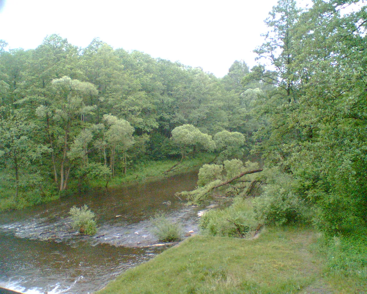 Photo showing: Rzeka Czarna w Sielpi