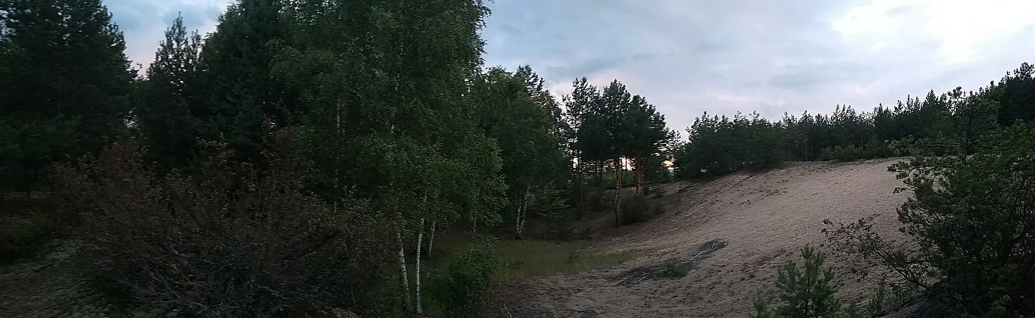 Photo showing: Location: forest area in-between Spacerowa street and Leśna street in the village Młynek Nieświński