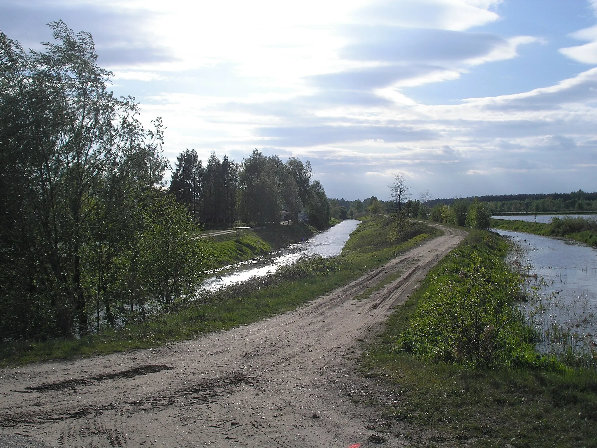 Photo showing: Kołoniec. Odnoga rzeki Czarnej