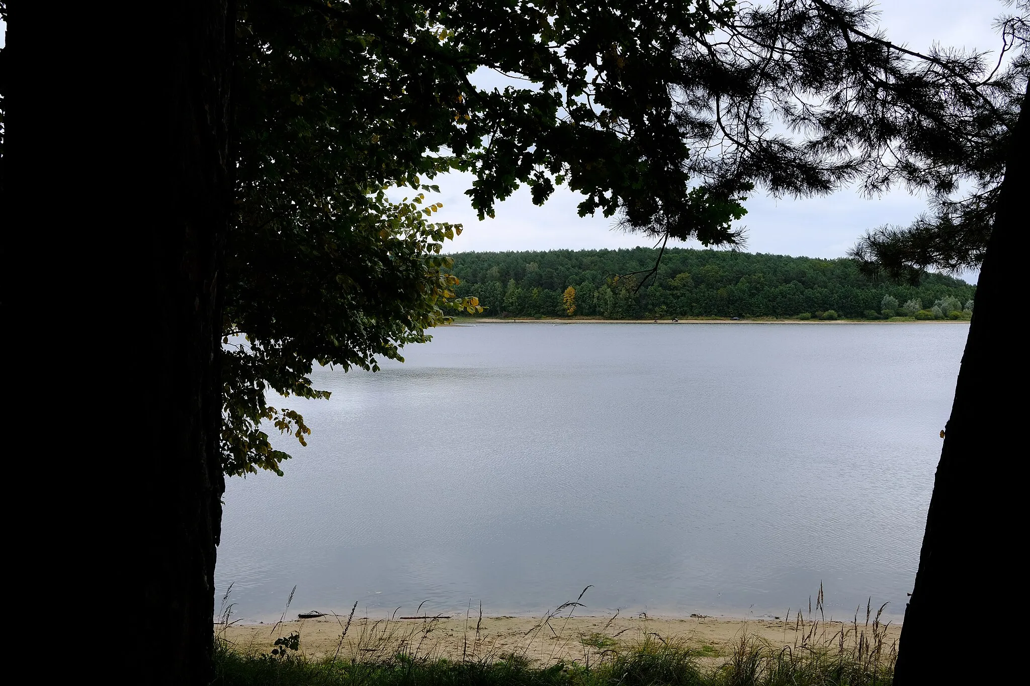 Photo showing: Chańcza lake, Życiny, Poland