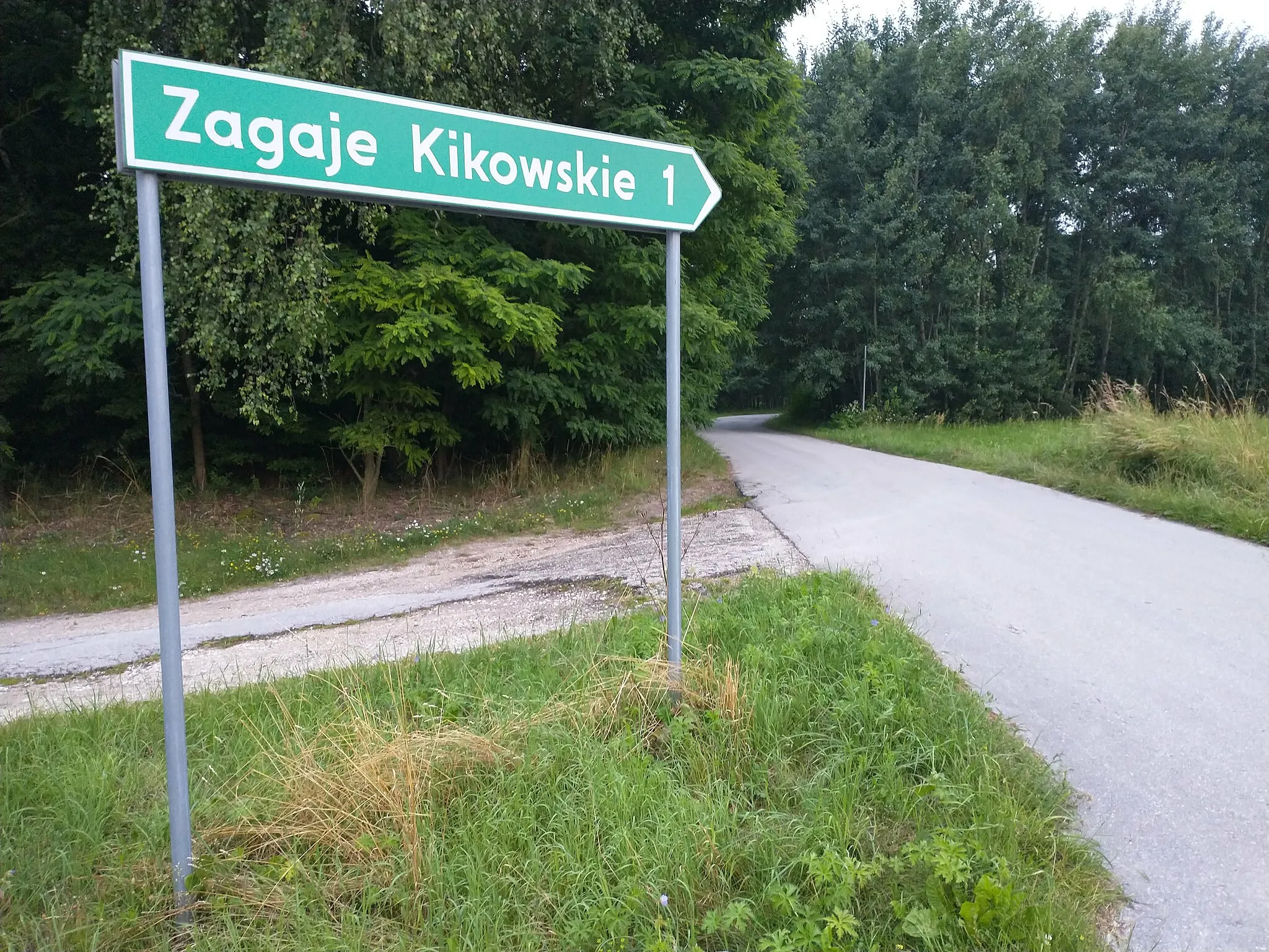 Photo showing: Zagaje Kikowskie.