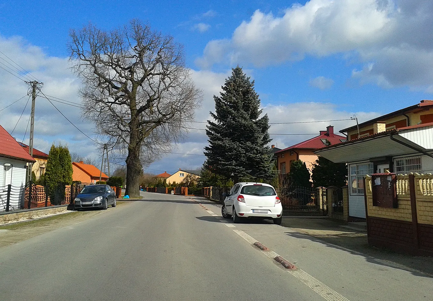 Photo showing: Centrum wsi Teofilów. Przy drodze kilkusetletni dąb - pomnik przyrody.