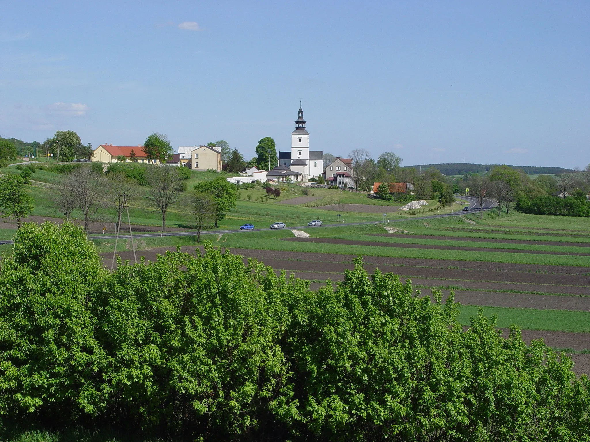 Photo showing: Szczaworyż k. Buska, Kościół, panorama od zachodu