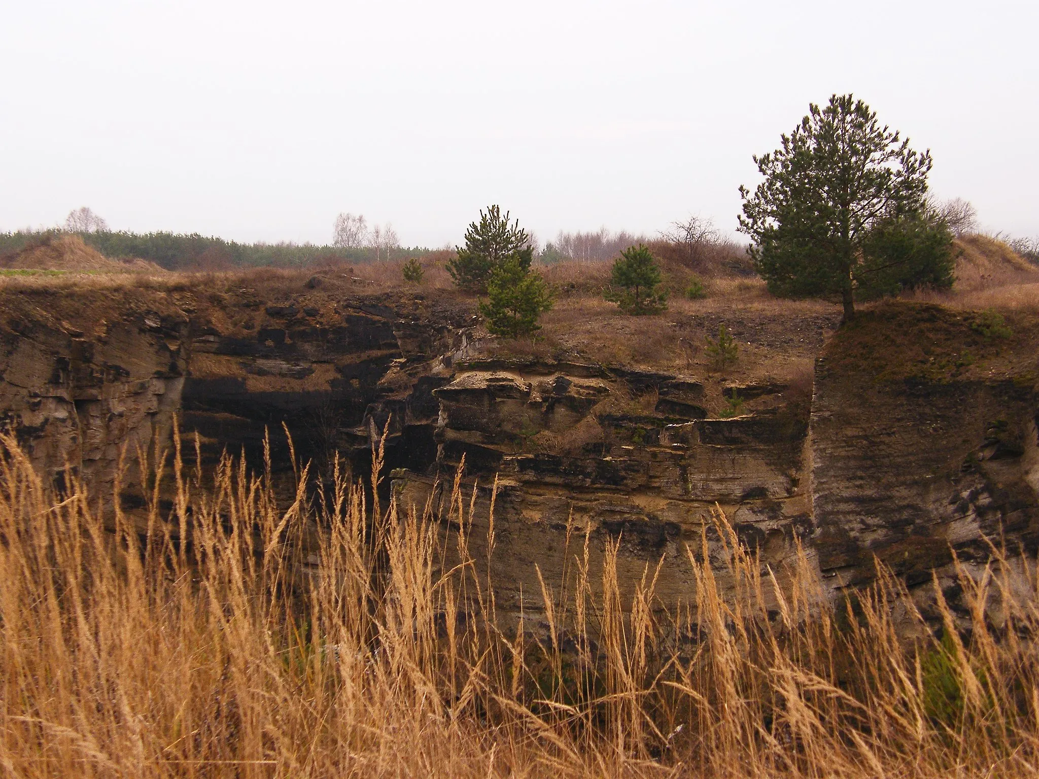 Photo showing: Kamieniołom w Smerdynie