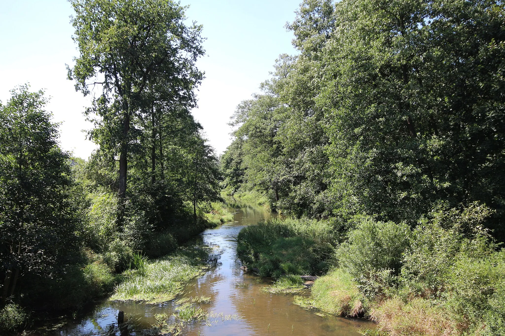 Photo showing: Belnianka river in Słopiec.