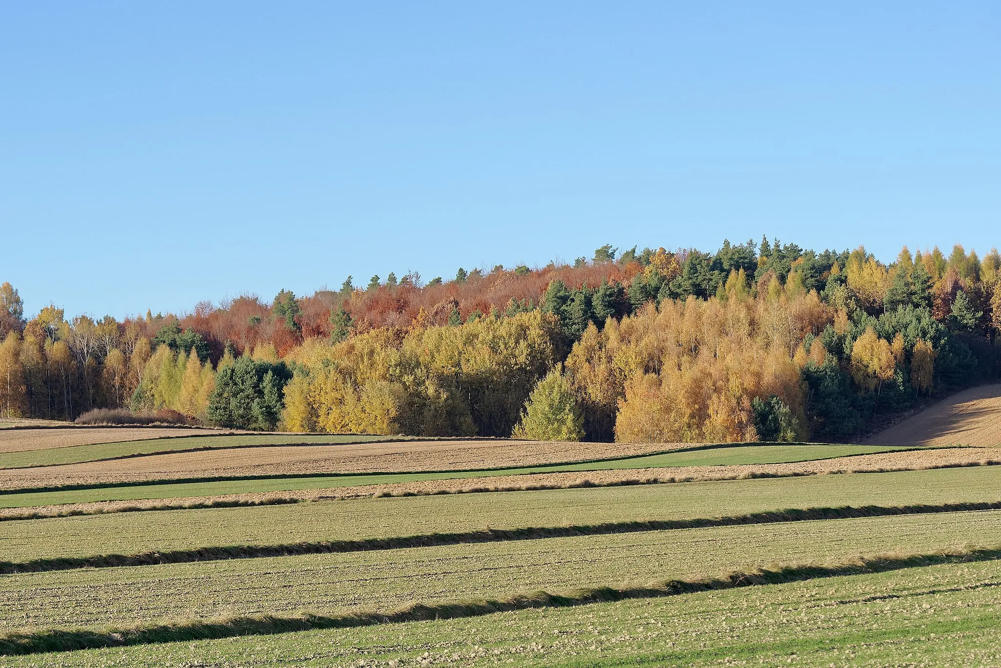 Photo showing: Góra Sieradowska nature reserve - view from fields near Sieradowice village