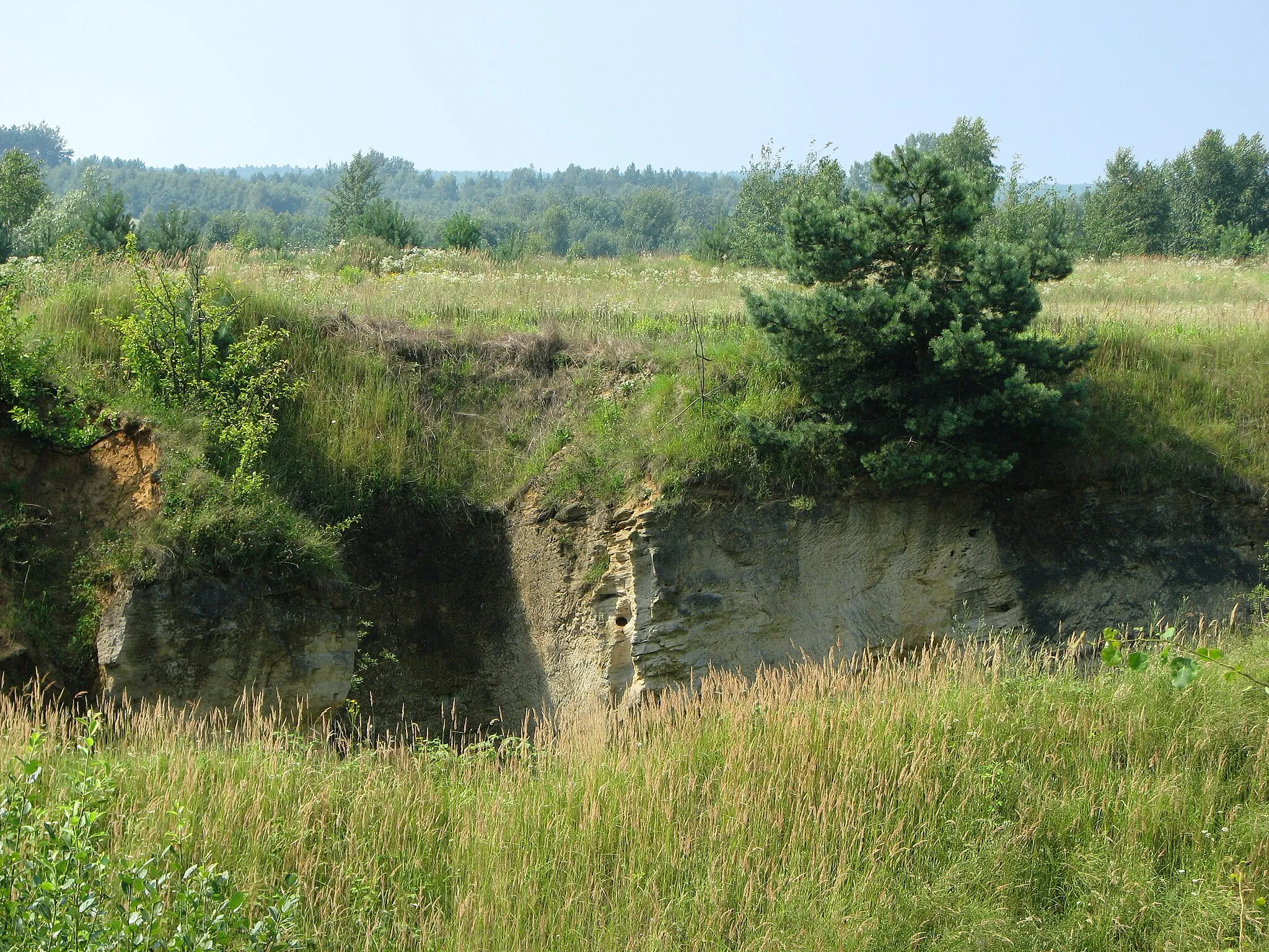 Photo showing: Old, closed quarry in Poddębowiec near Staszów.