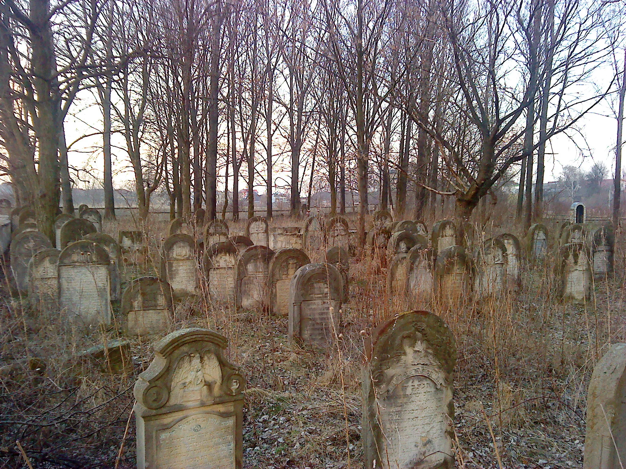 Photo showing: Cmentarz żydowski w Ożarowie