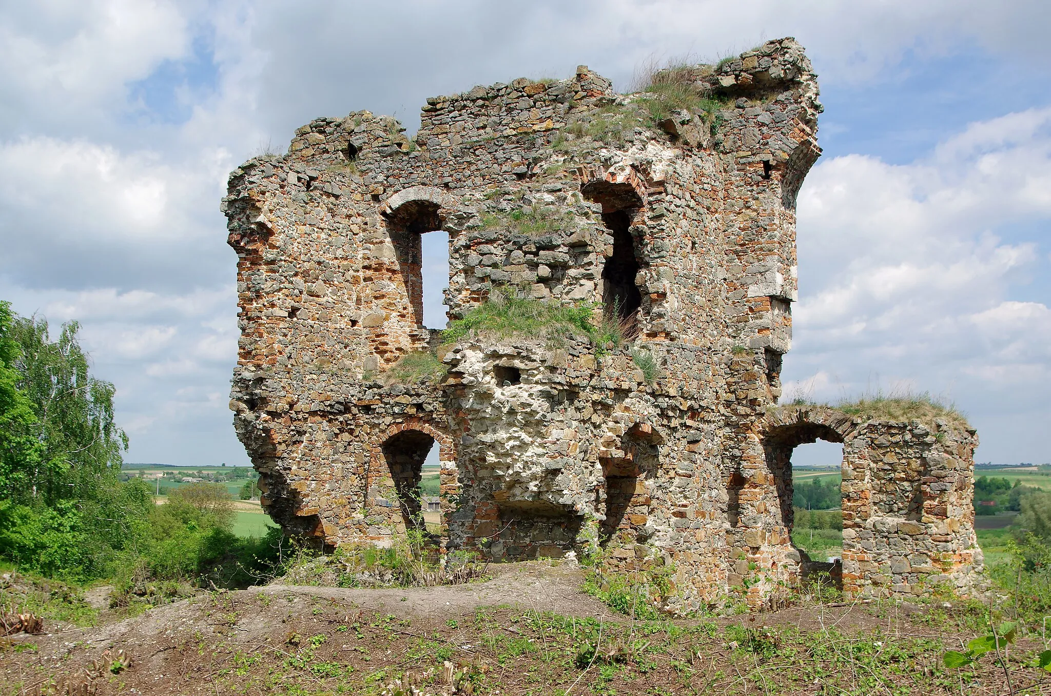 Photo showing: Miedzygorz Castle