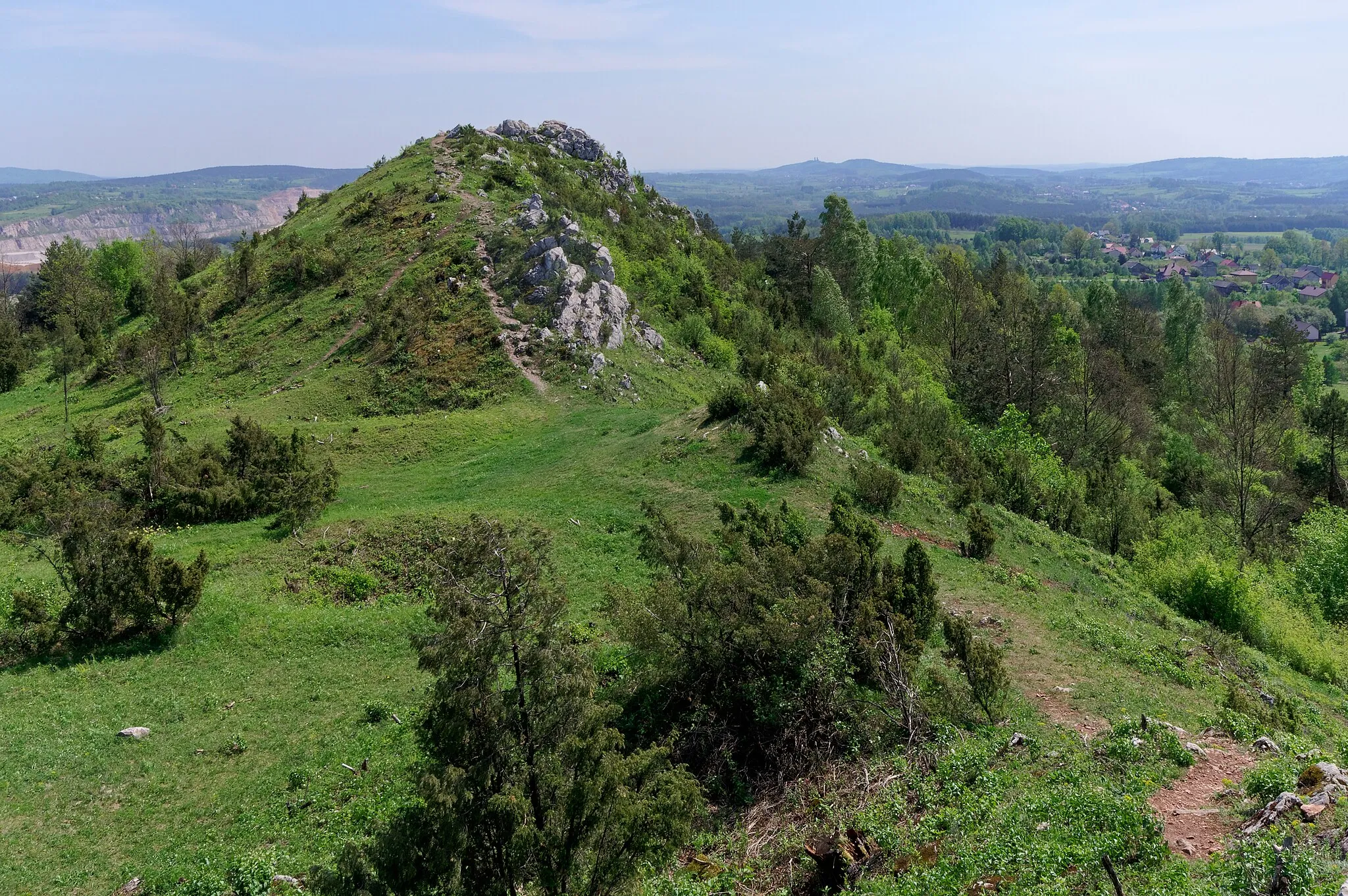 Photo showing: Góra Miedzianka Nature Reserve