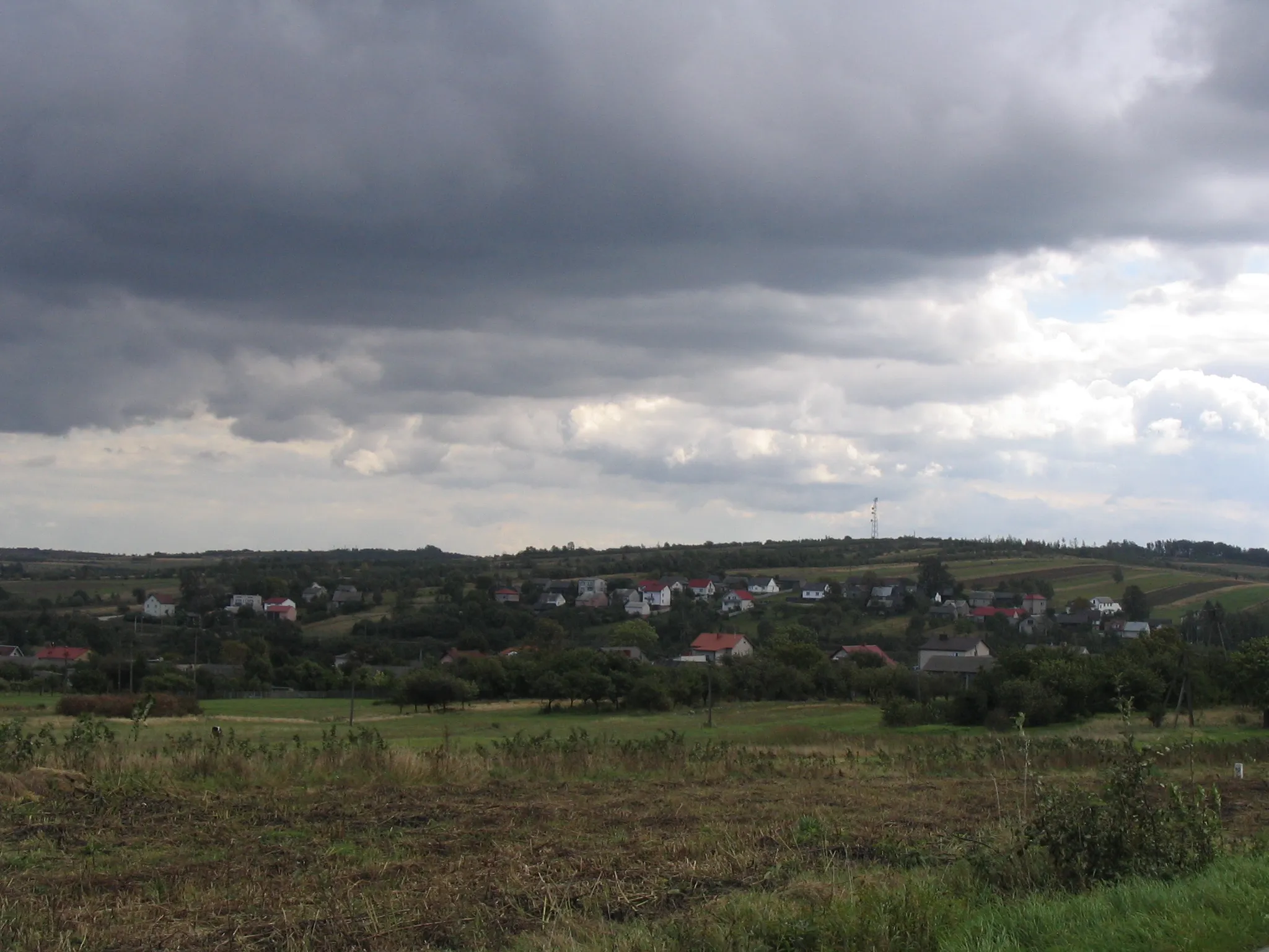 Photo showing: Łączna (Poland) seen from above