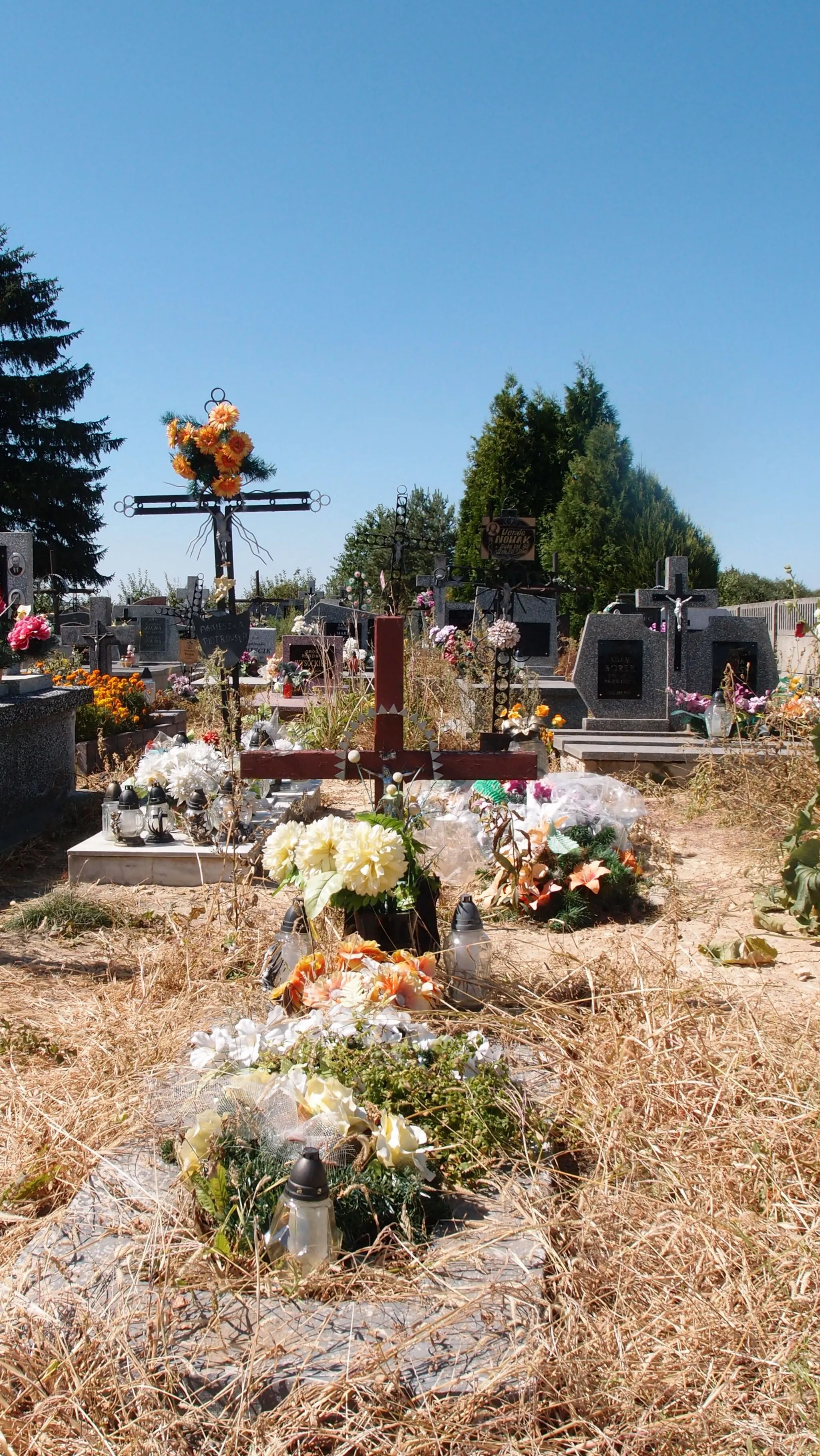 Photo showing: Parish cemetery in Gumienice