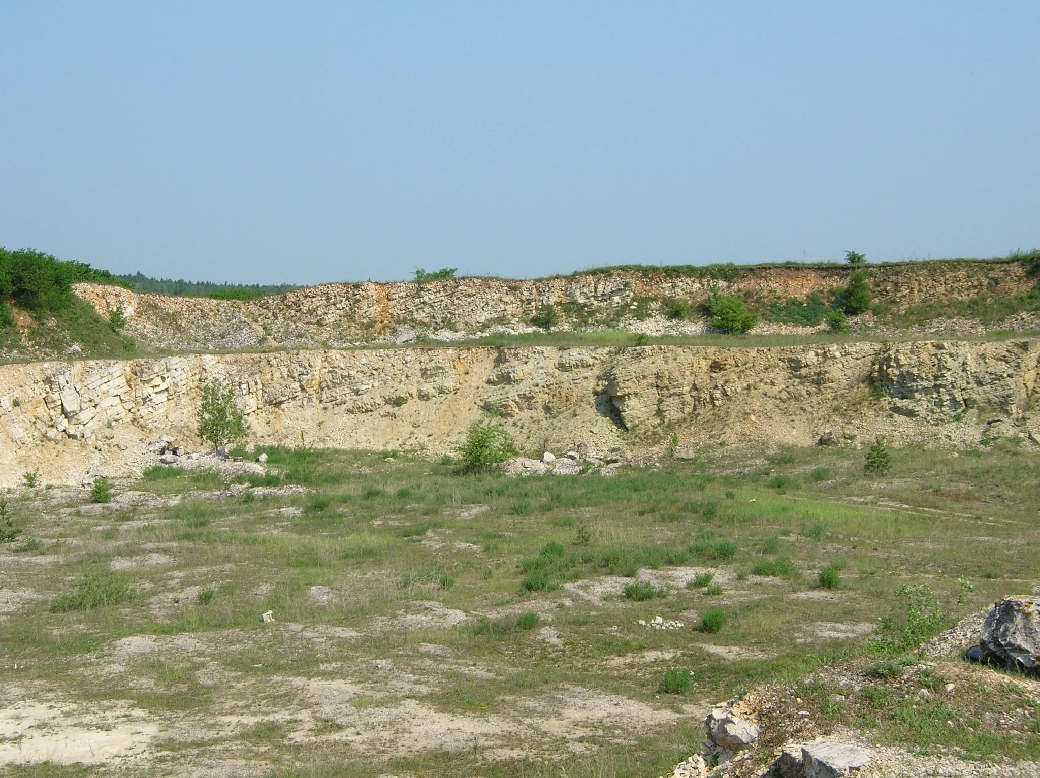 Photo showing: Quarry at Gnieździska near Kielce. Jurassic (Callovian and Oxfordian) limestones.