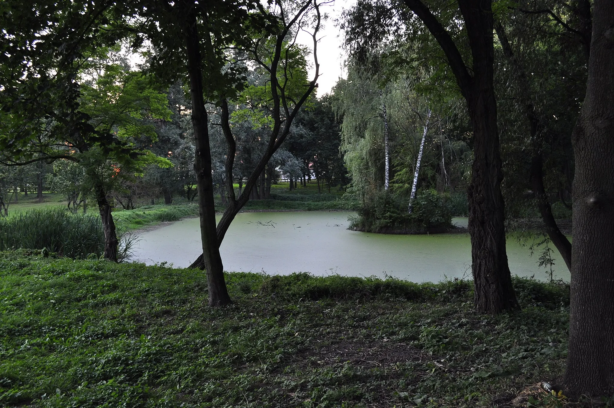 Photo showing: Park 
Czajęcice, Waśniów