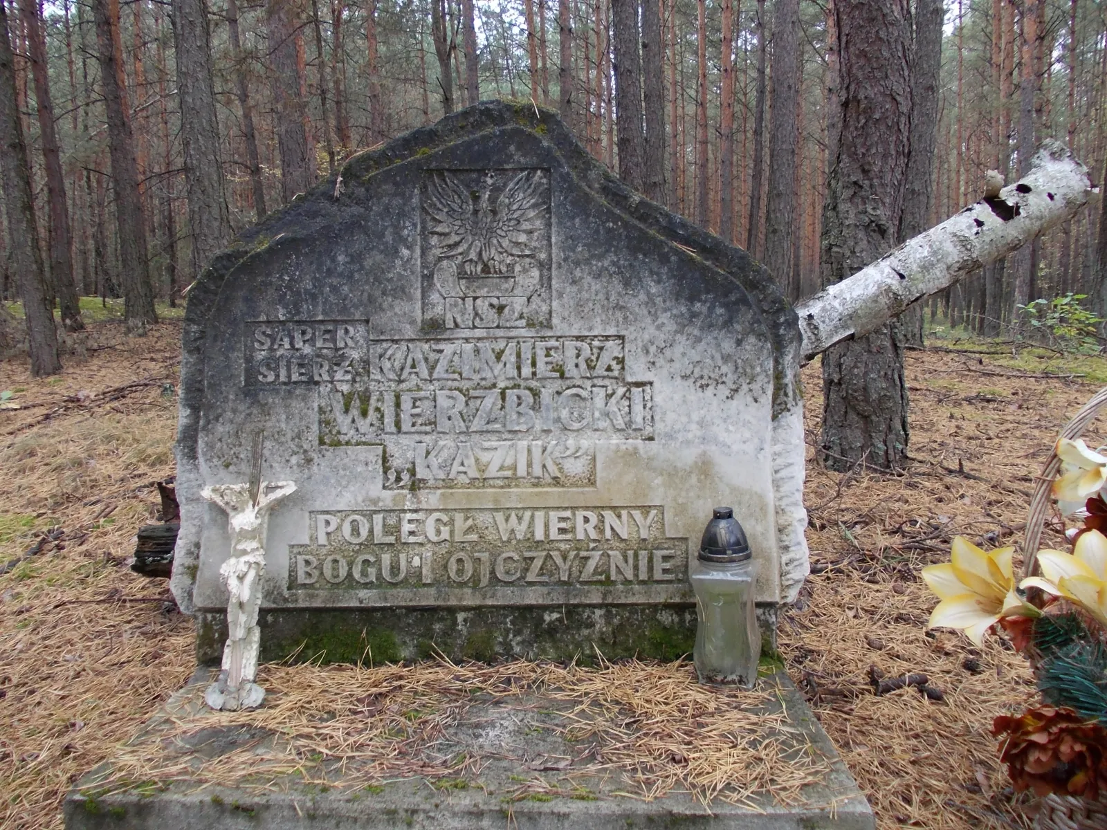 Photo showing: Grave of Kazimierz Wierzbicki pseud. "Kazik", of NSZ soldier.