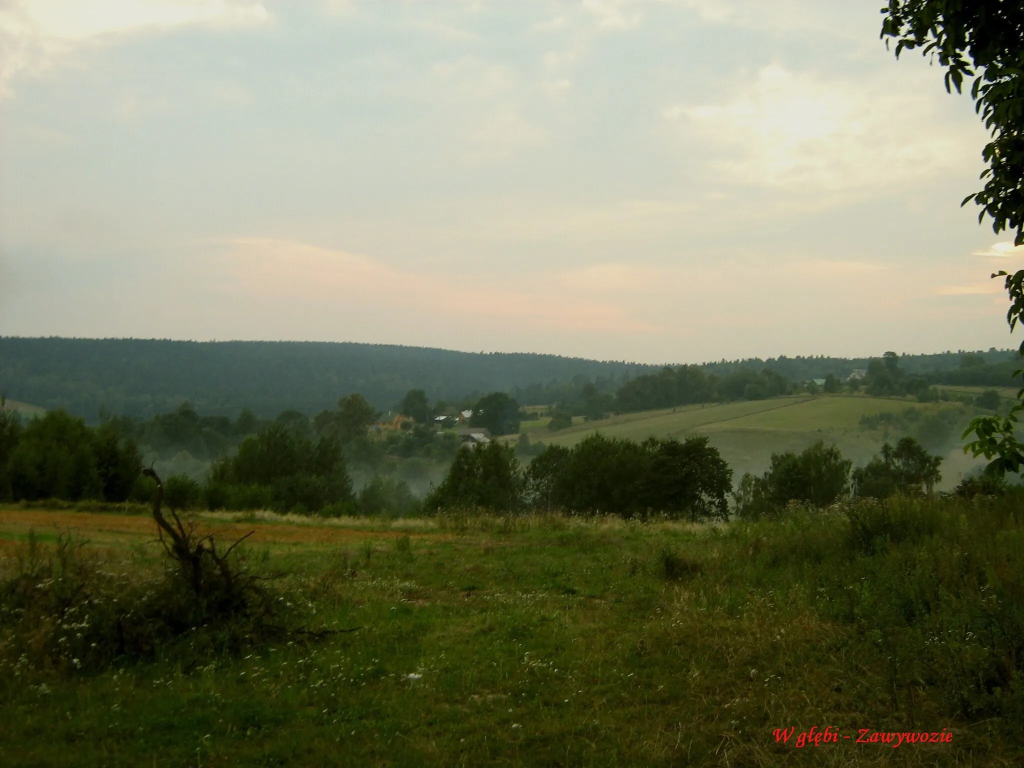 Photo showing: Gmina Pawłów, Poland