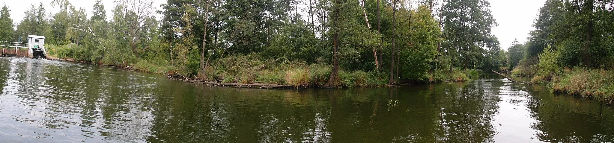 Photo showing: Czarna Nida river near Bieleckie Młyny