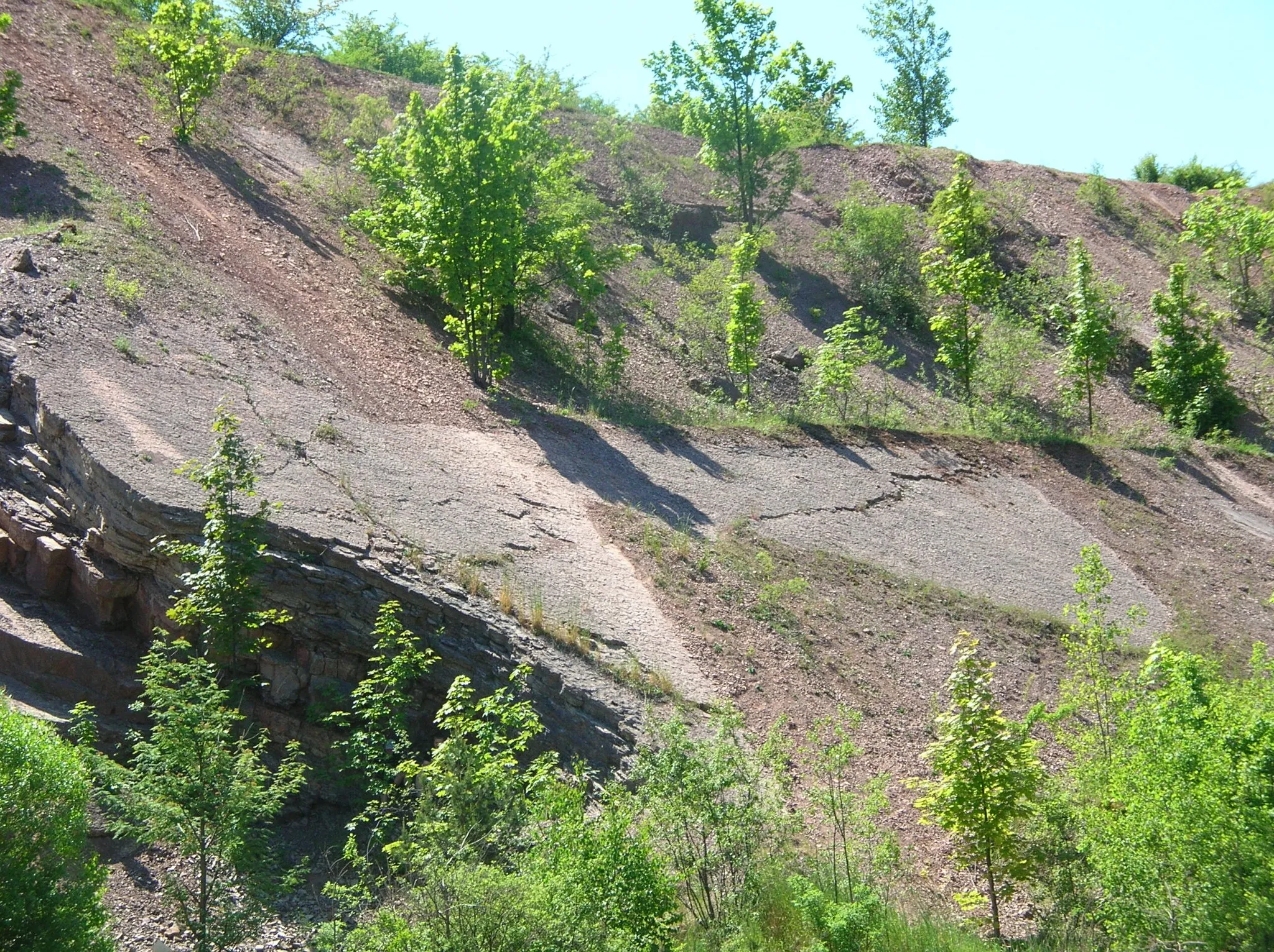 Photo showing: Zachełmie quarry