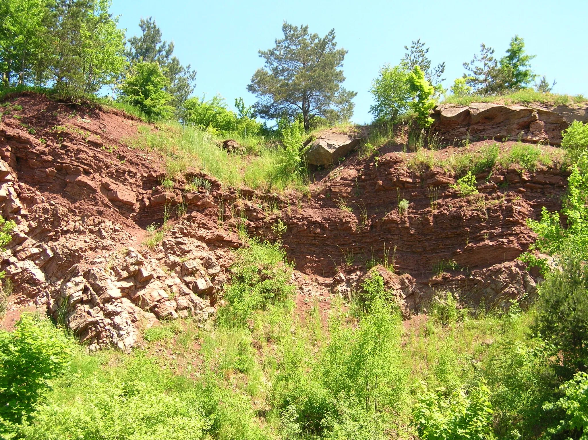 Photo showing: Angular unconformity between Middle Devonian dolomites and Lower Triassic red sandstones. Quarry in Zachełmie, Poland