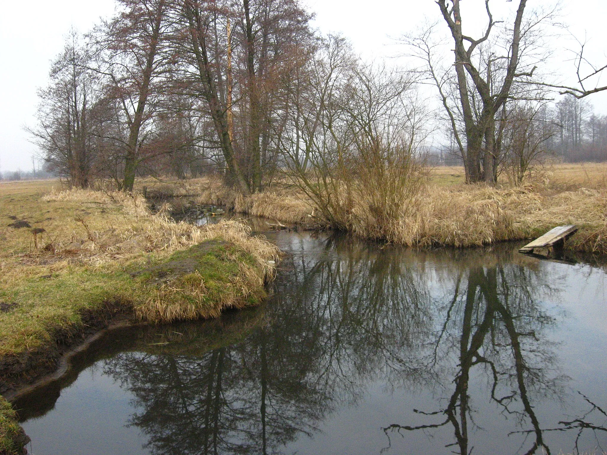 Photo showing: Gmina Staszów, Poland