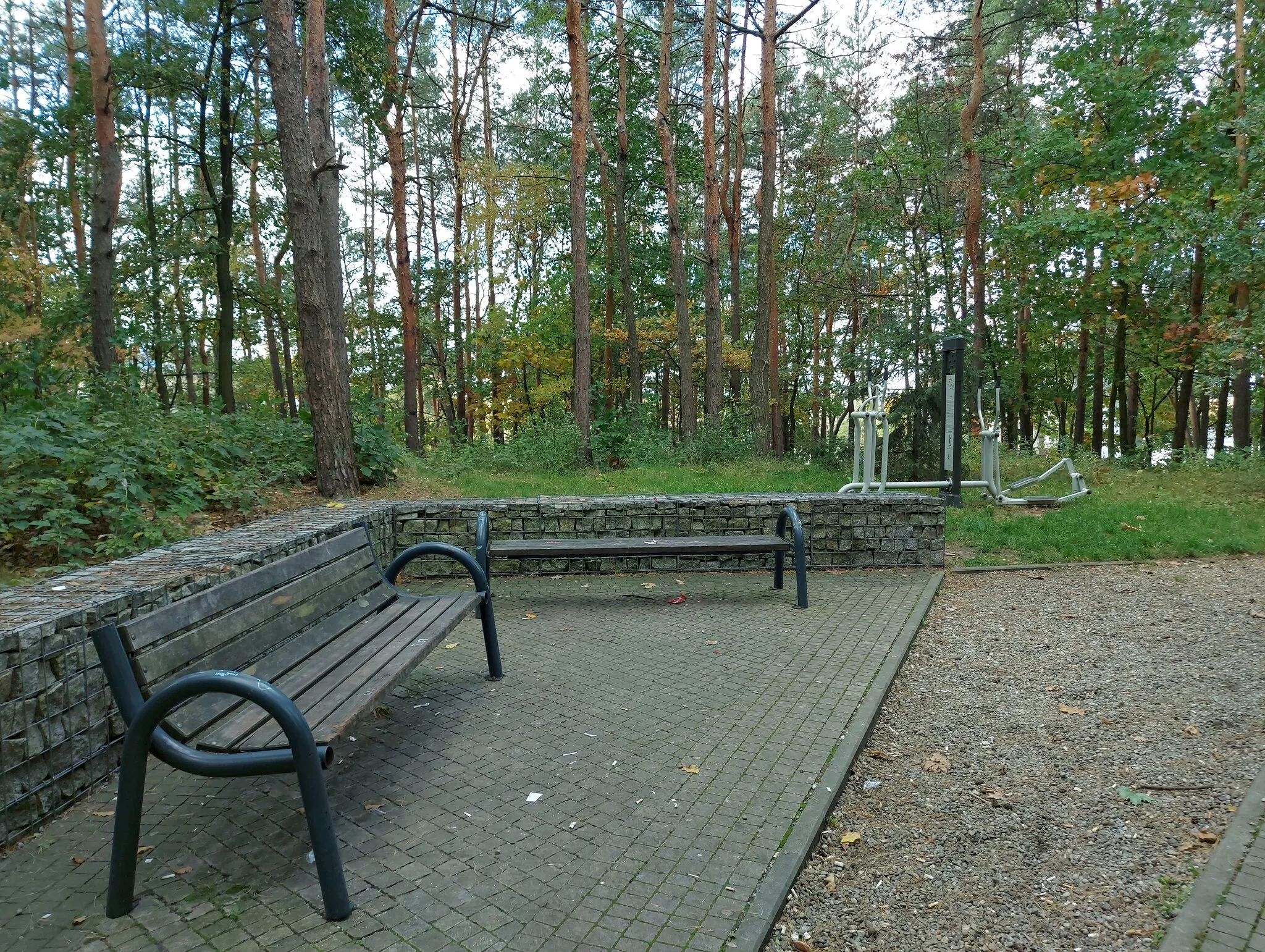 Photo showing: Mielec, Park Leśny