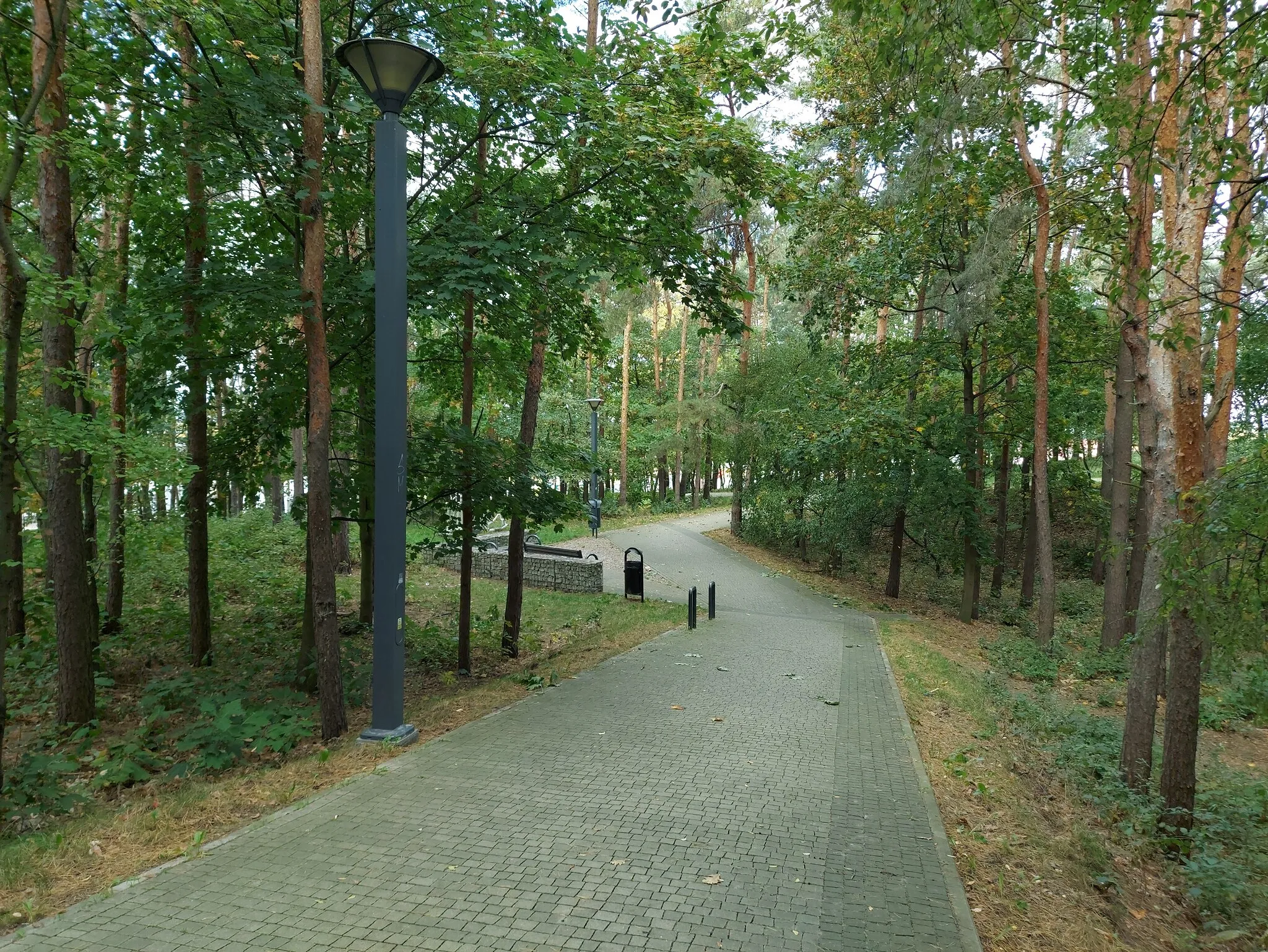 Photo showing: Mielec, Park Leśny