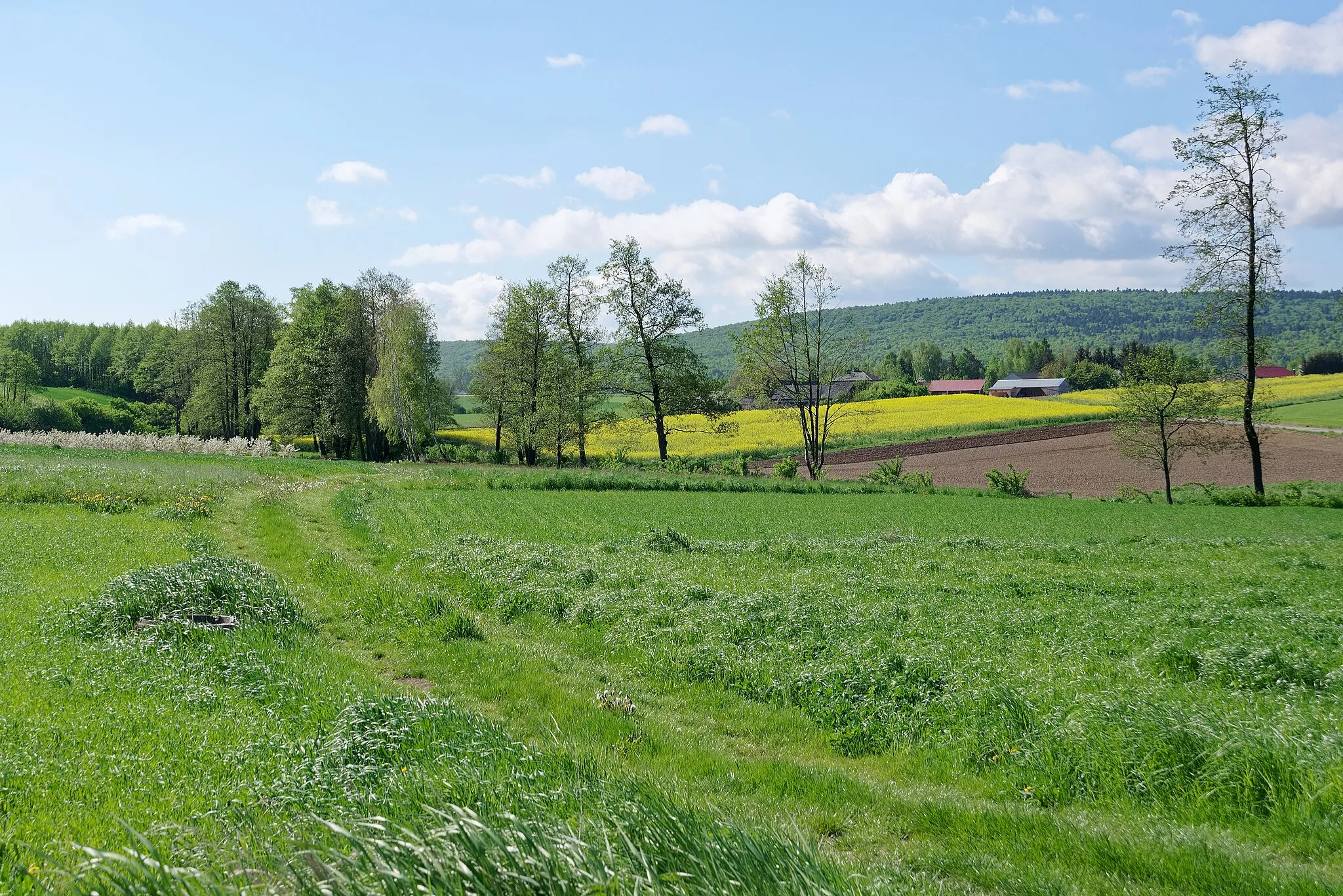 Photo showing: Fields near Roztylice, Świętokrzyskie Voivodeship