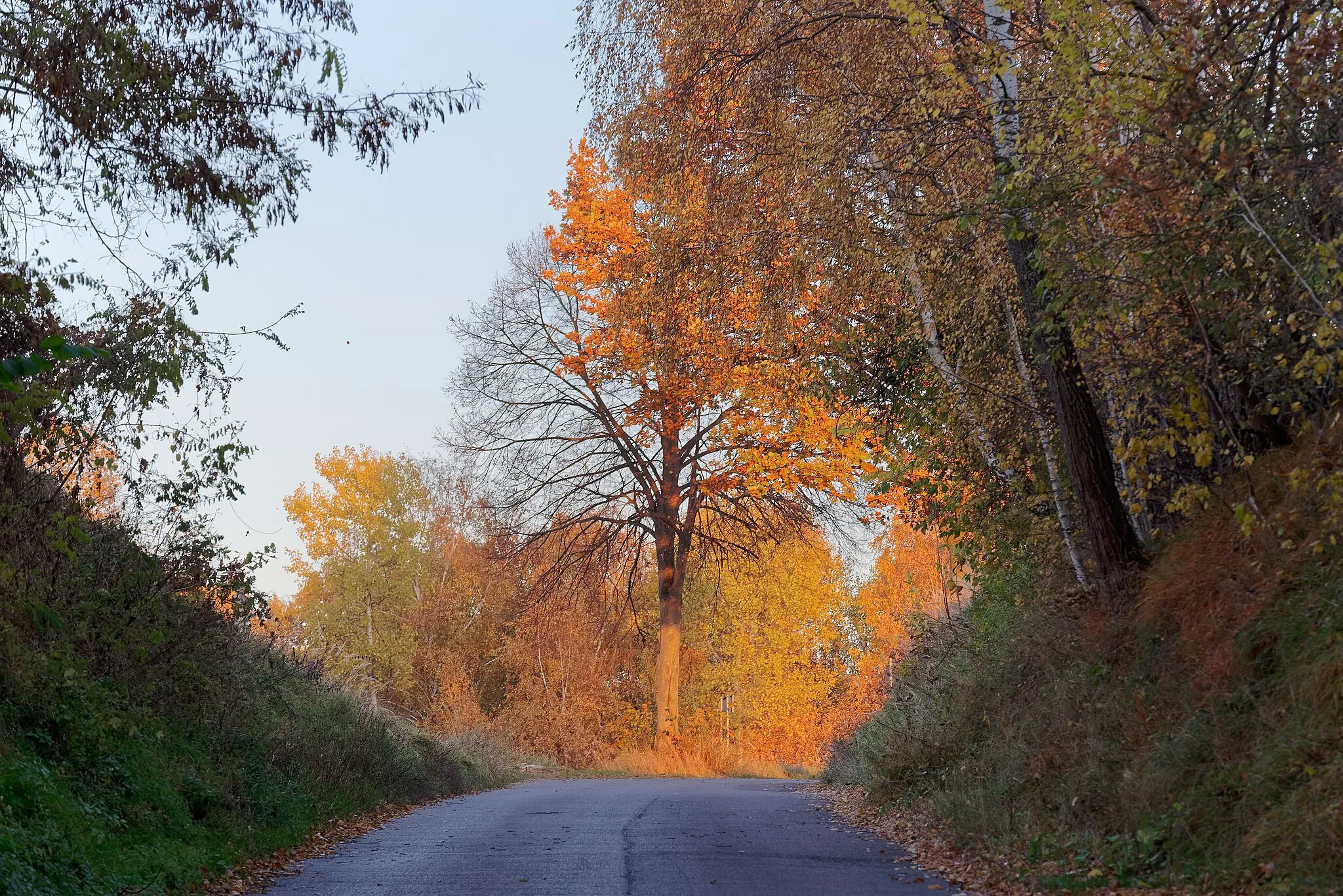 Photo showing: Road from Czerwona Góra to Sadowie, just before sunset